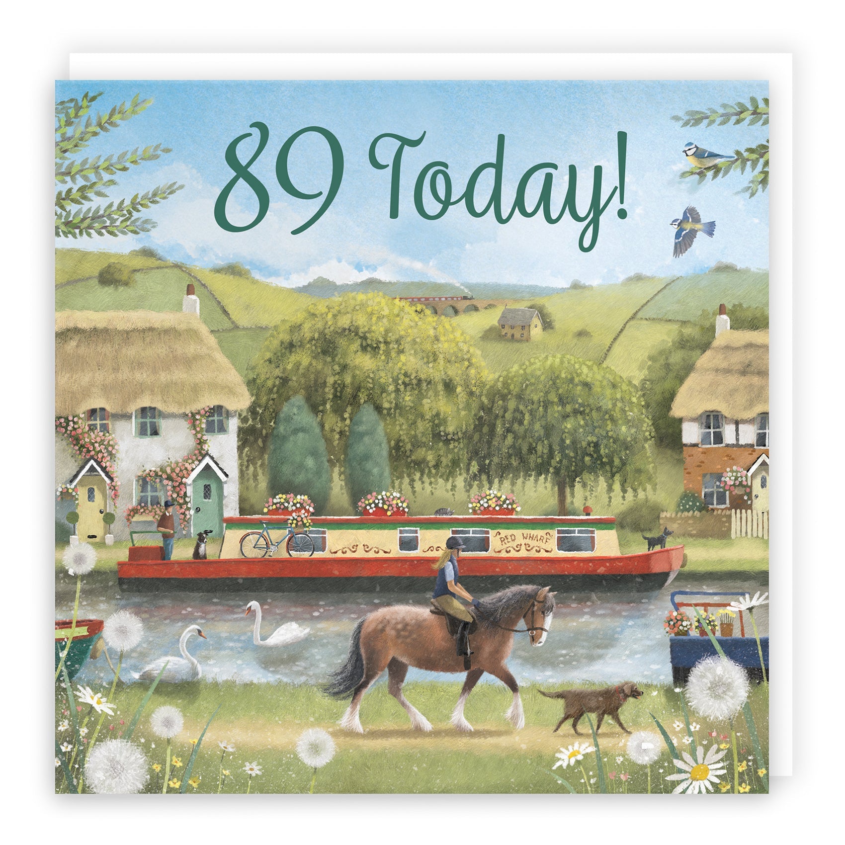 89th Birthday Cards - Age 89