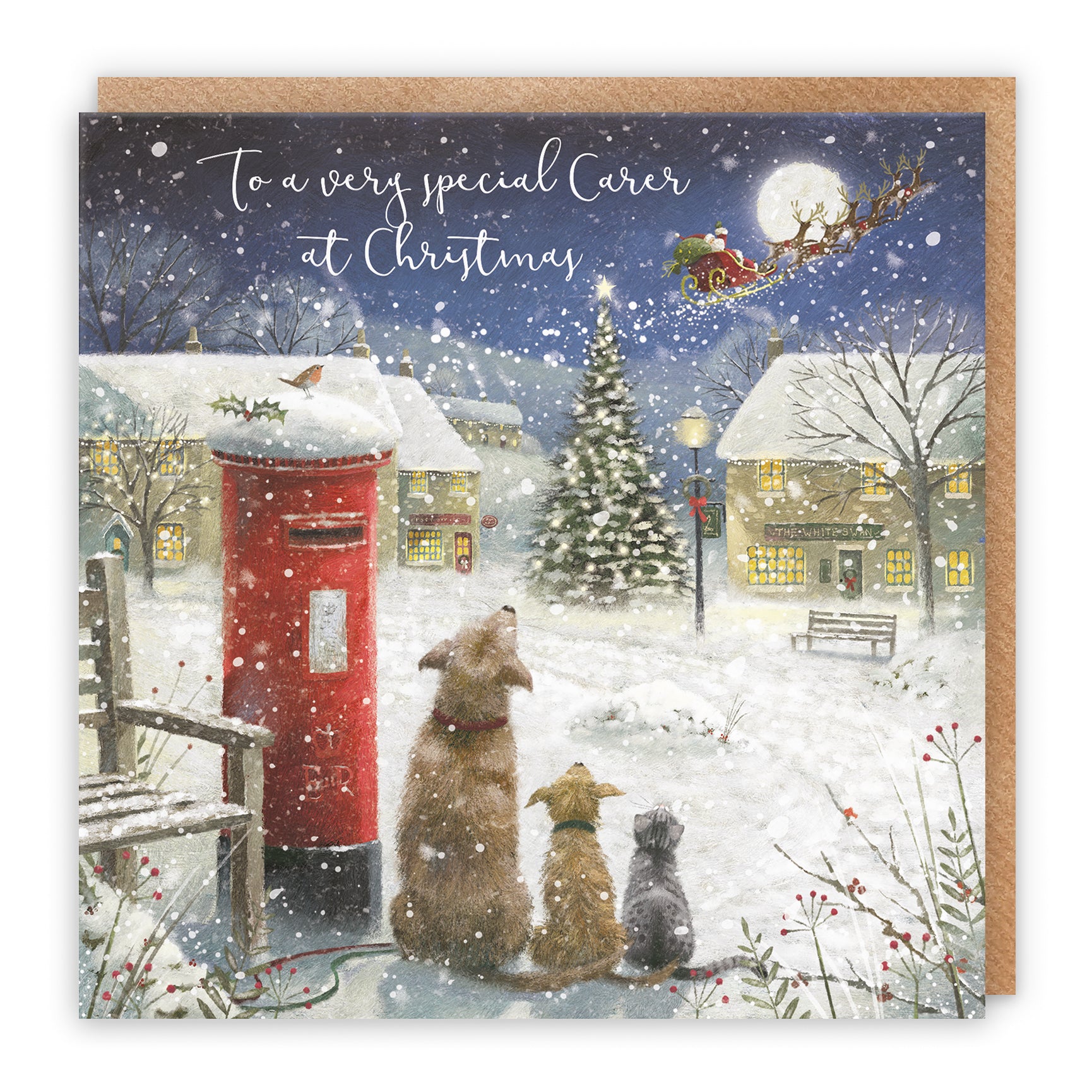 christmas cards for carer male female him her thank you carer