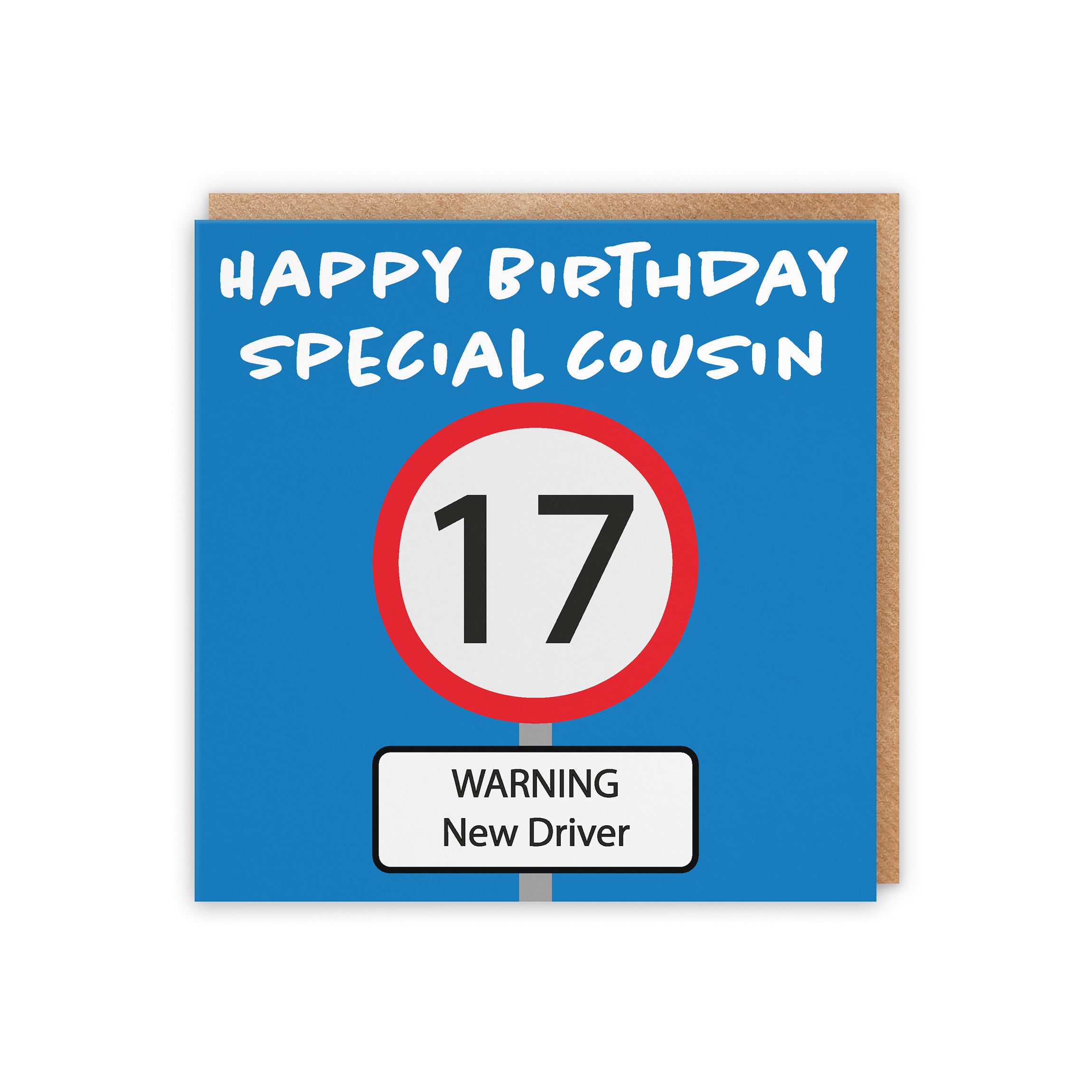 17th Cousin Birthday Card Road Sign - Default Title (5056408124225)