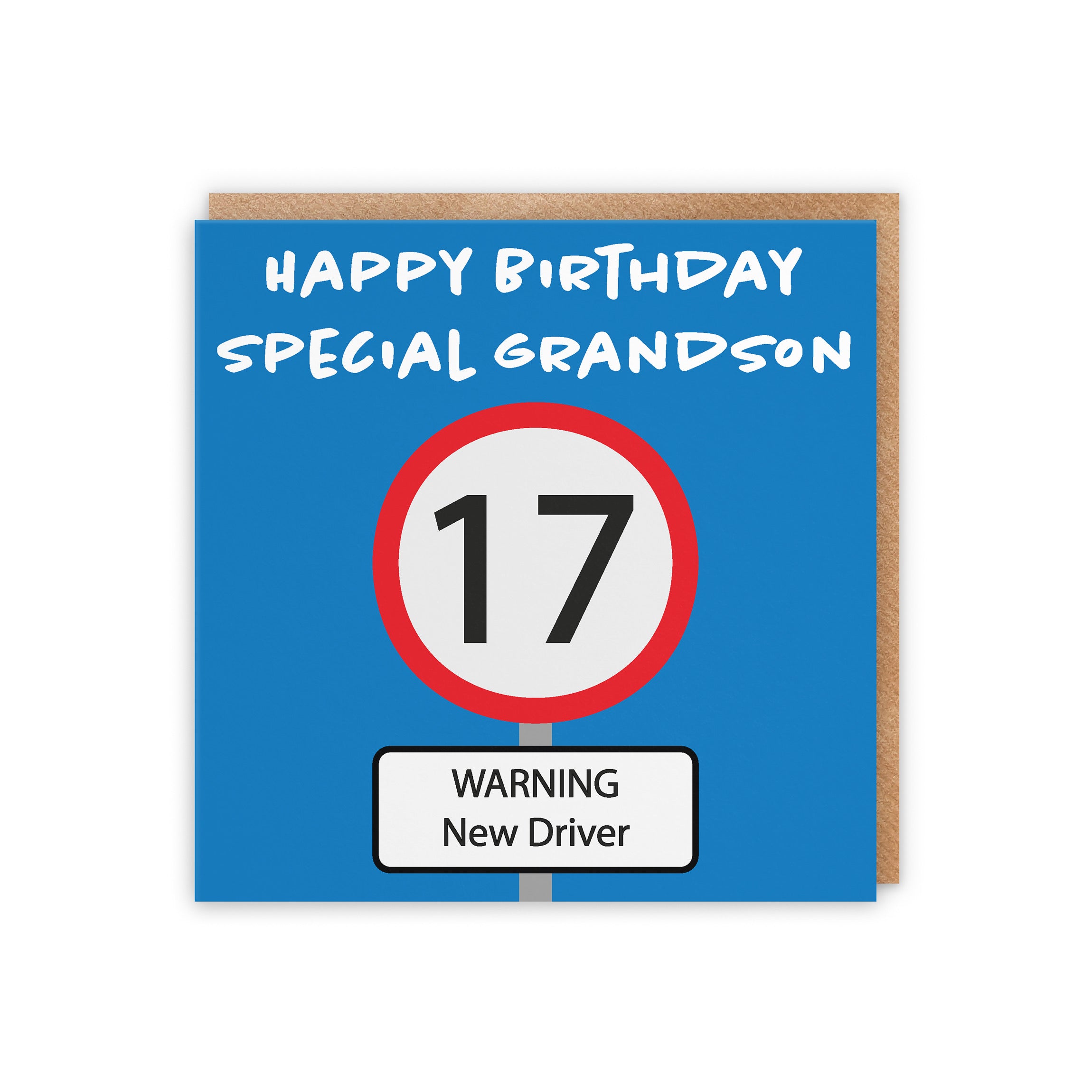 17th Grandson Birthday Card Road Sign - Default Title (5056408124232)