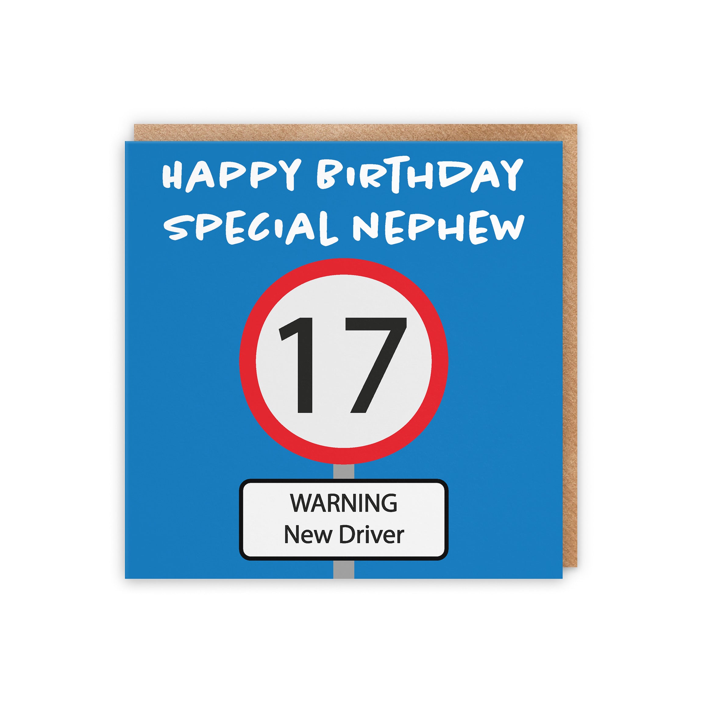 17th Nephew Birthday Card Road Sign - Default Title (5056408124287)