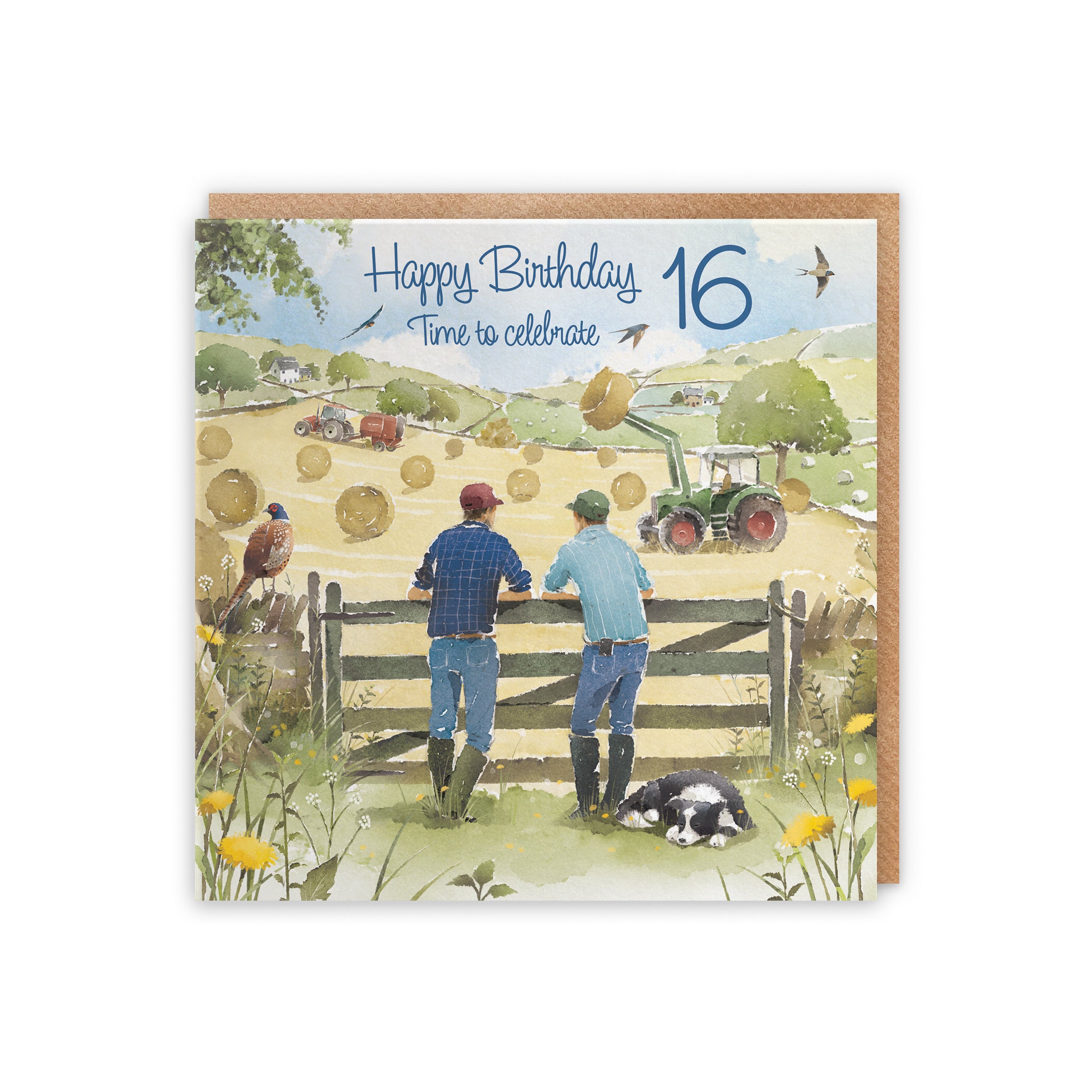 16th Birthday Card Haymaking Milo's Gallery - Default Title (5056408173049)