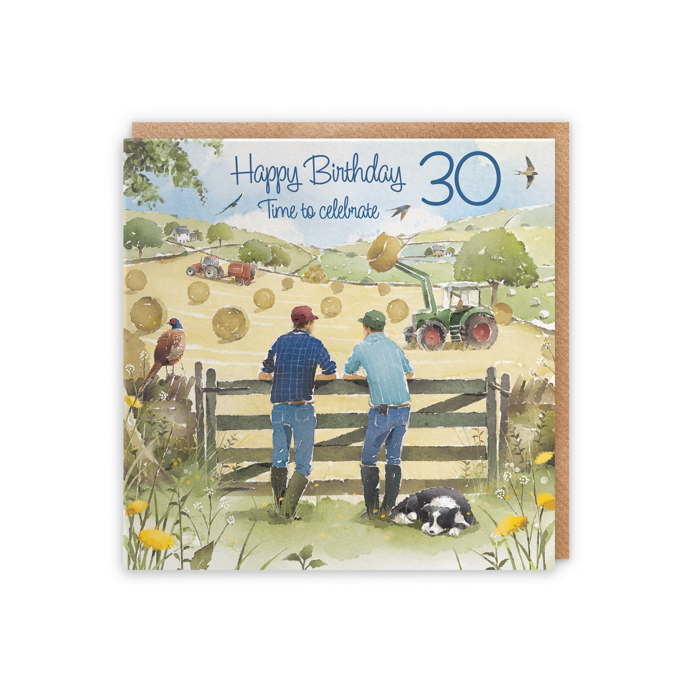 30th Birthday Card Haymaking Milo's Gallery - Default Title (5056408173070)