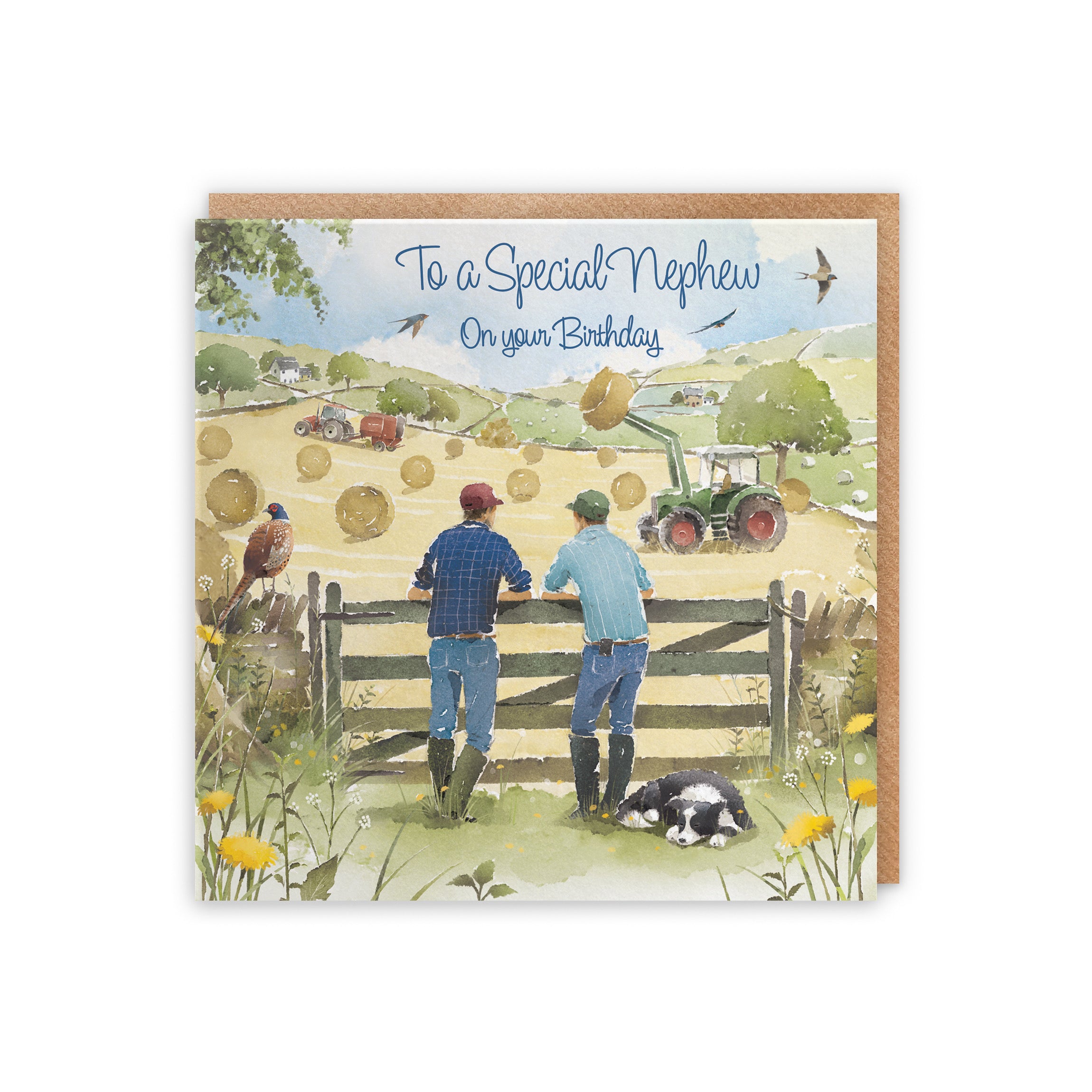 Nephew Birthday Card Haymaking Milo's Gallery - Default Title (5056408173179)