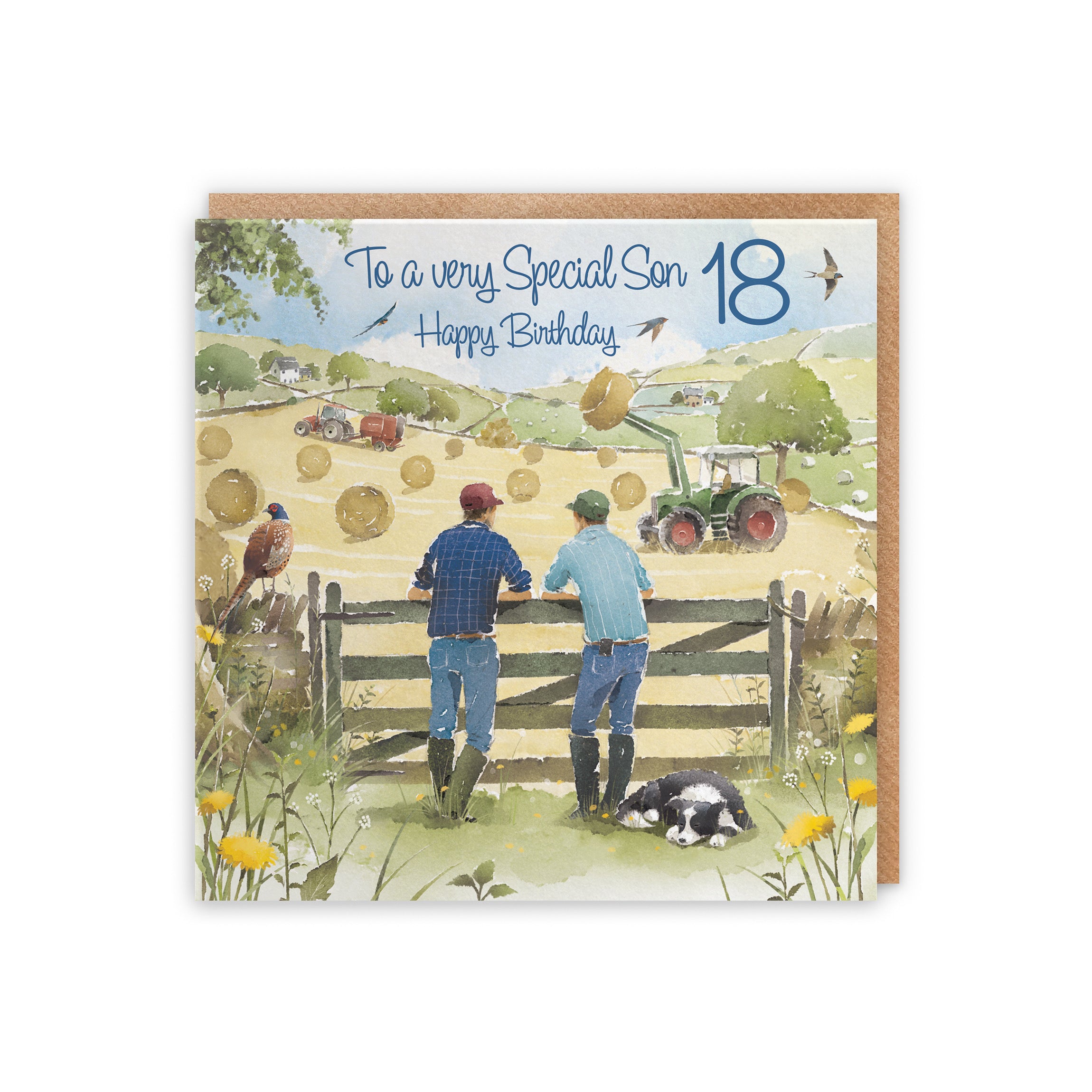 18th Son Birthday Card Haymaking Milo's Gallery - Default Title (5056408173339)