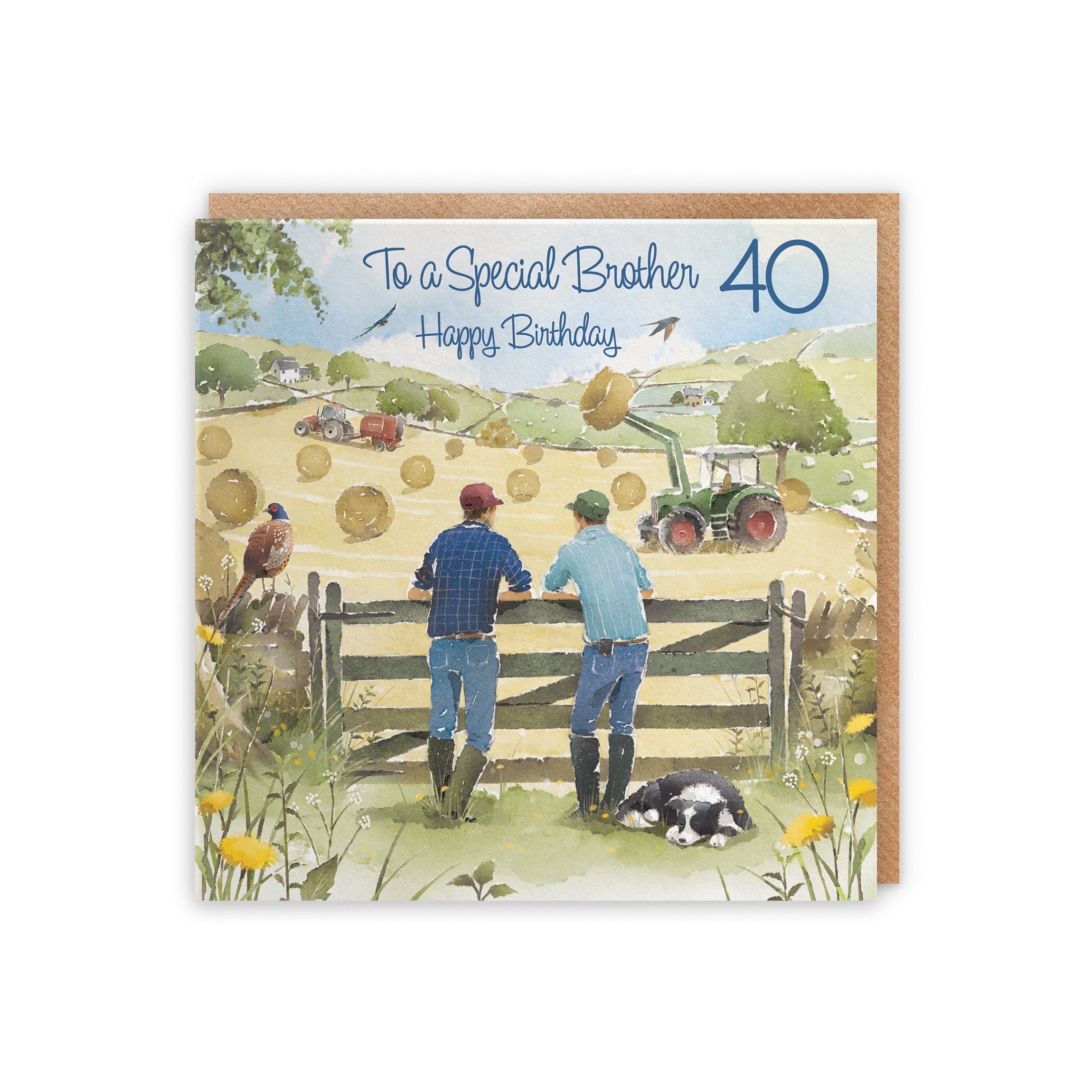 40th Brother Birthday Card Haymaking Milo's Gallery - Default Title (5056408173605)