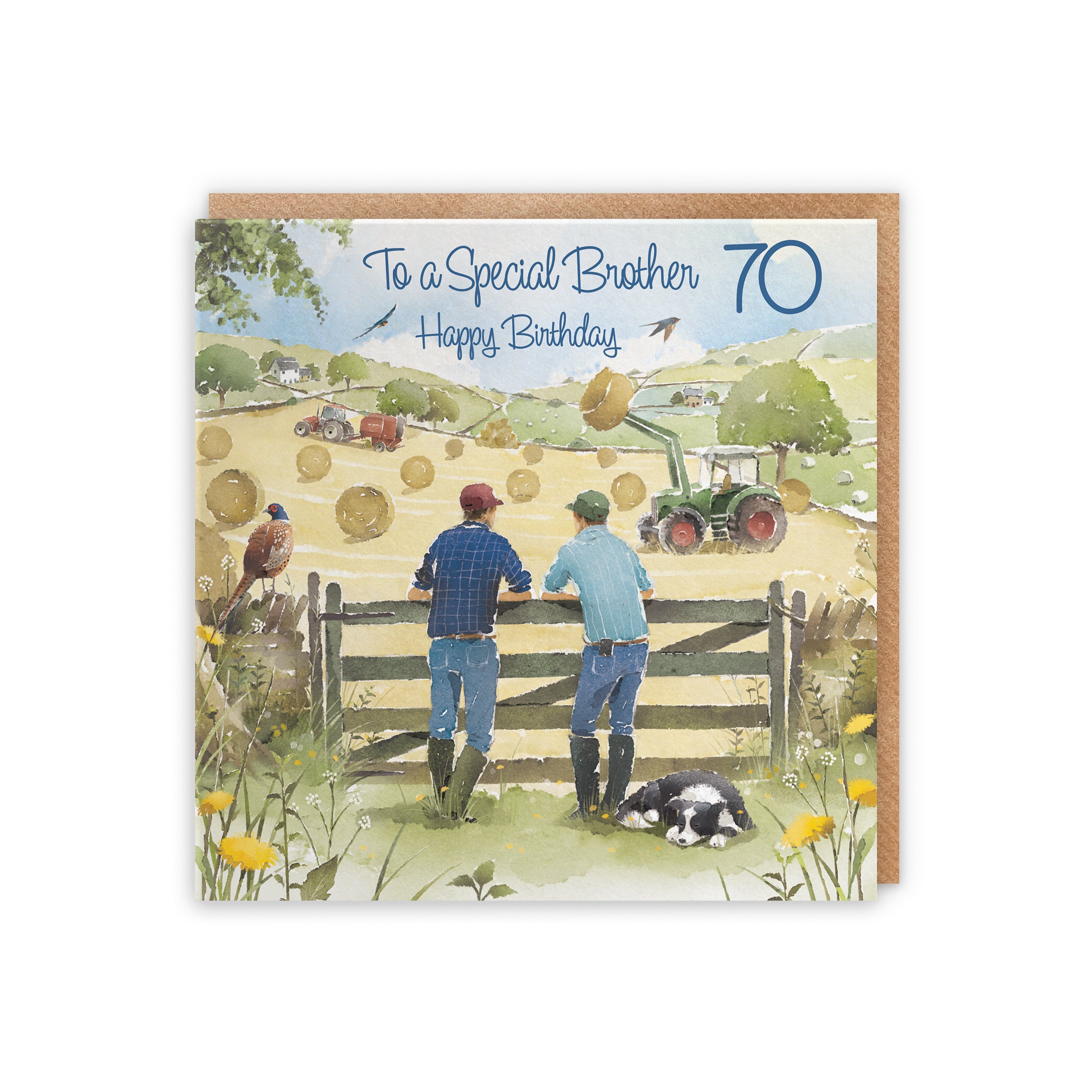 70th Brother Birthday Card Haymaking Milo's Gallery - Default Title (5056408173636)