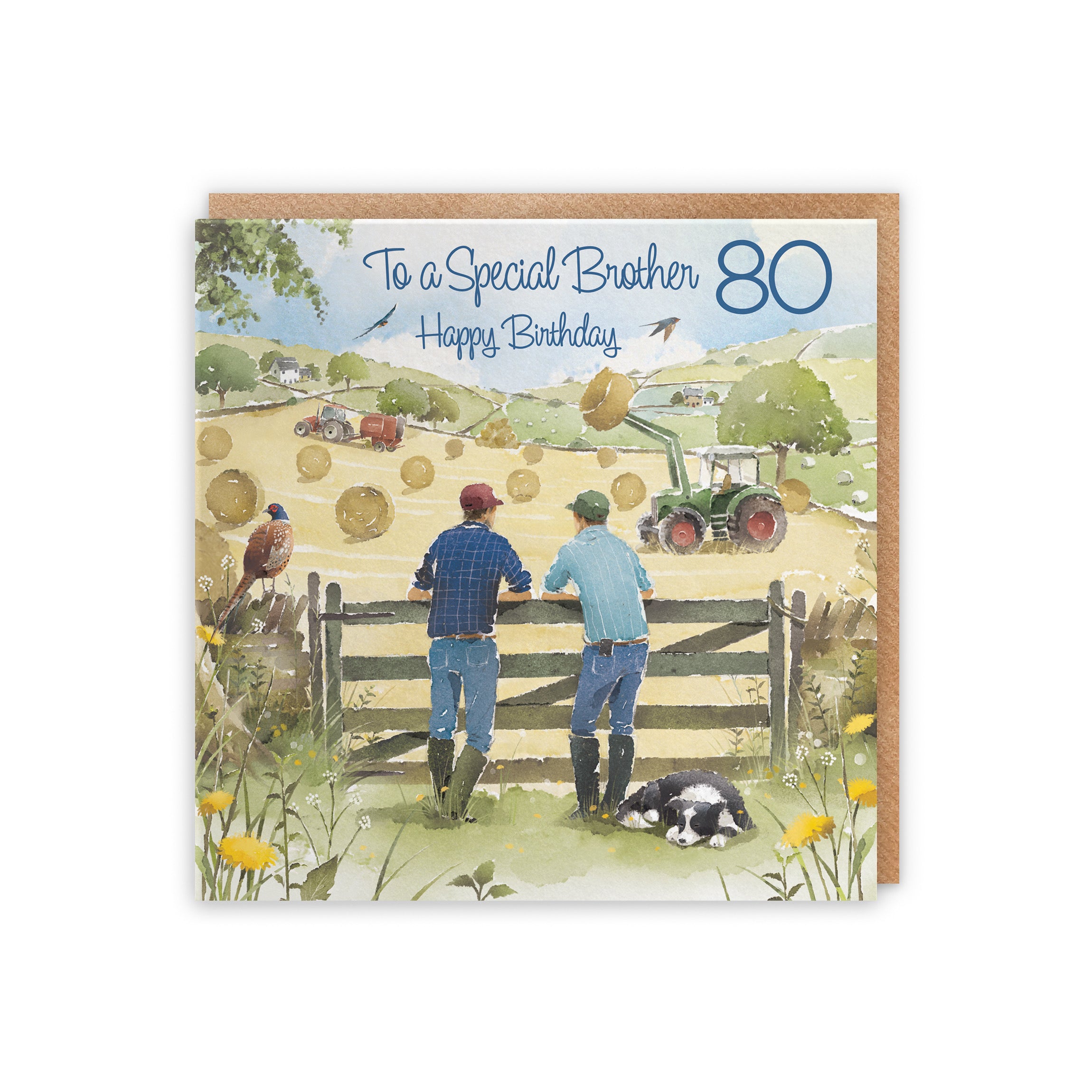 80th Brother Birthday Card Haymaking Milo's Gallery - Default Title (5056408173643)