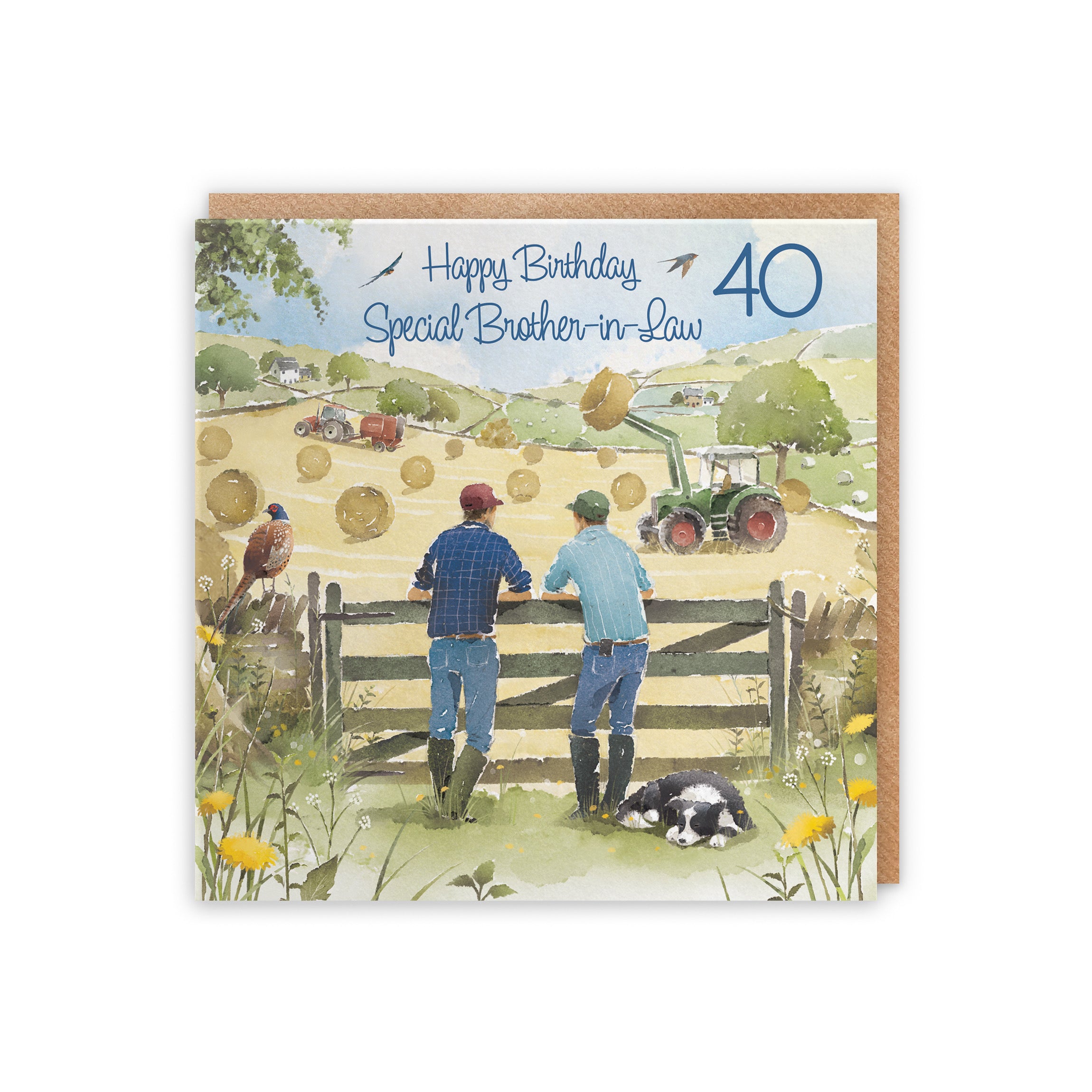 40th Brother-in-Law Birthday Card Haymaking Milo's Gallery - Default Title (5056408173650)