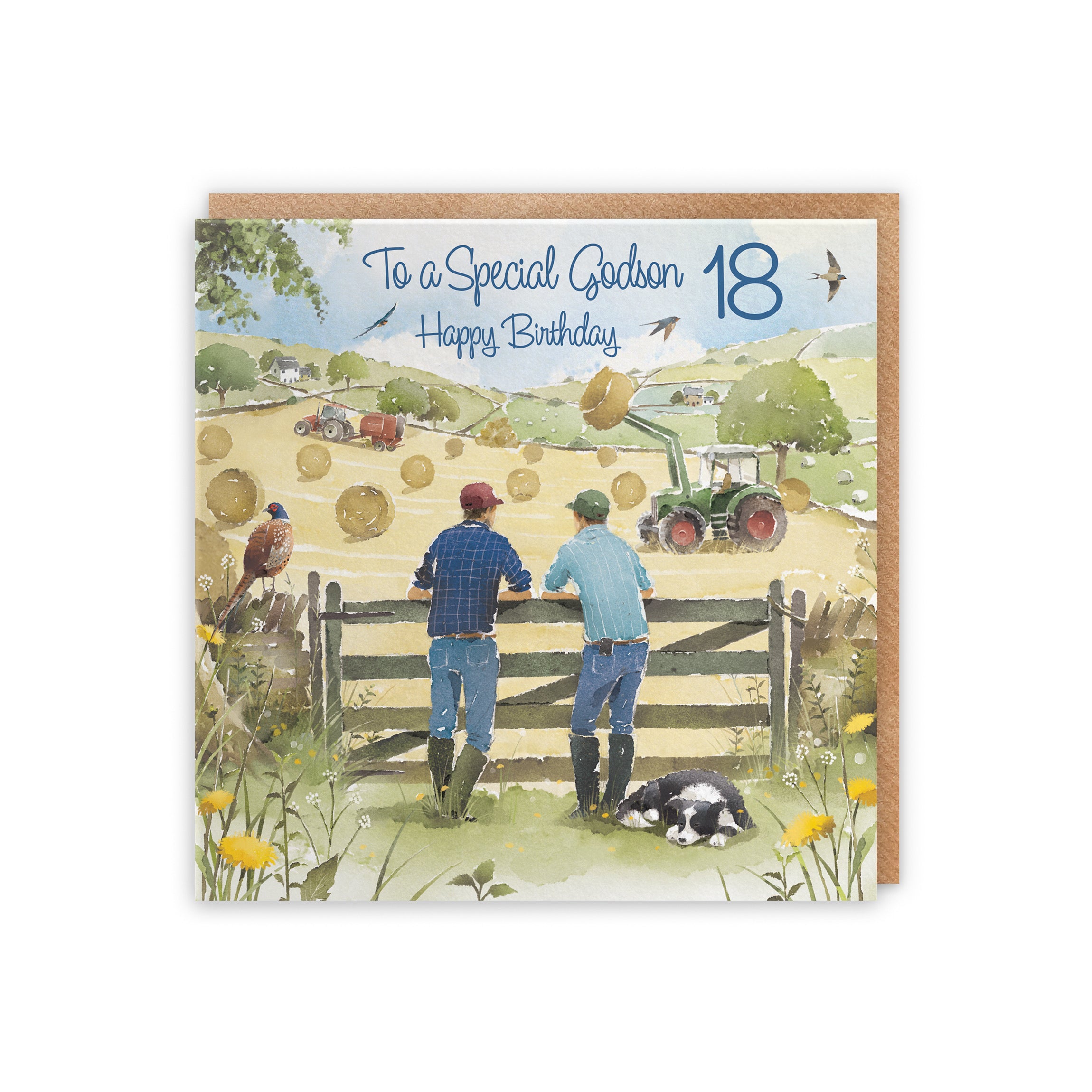 18th Godson Birthday Card Haymaking Milo's Gallery - Default Title (5056408173728)