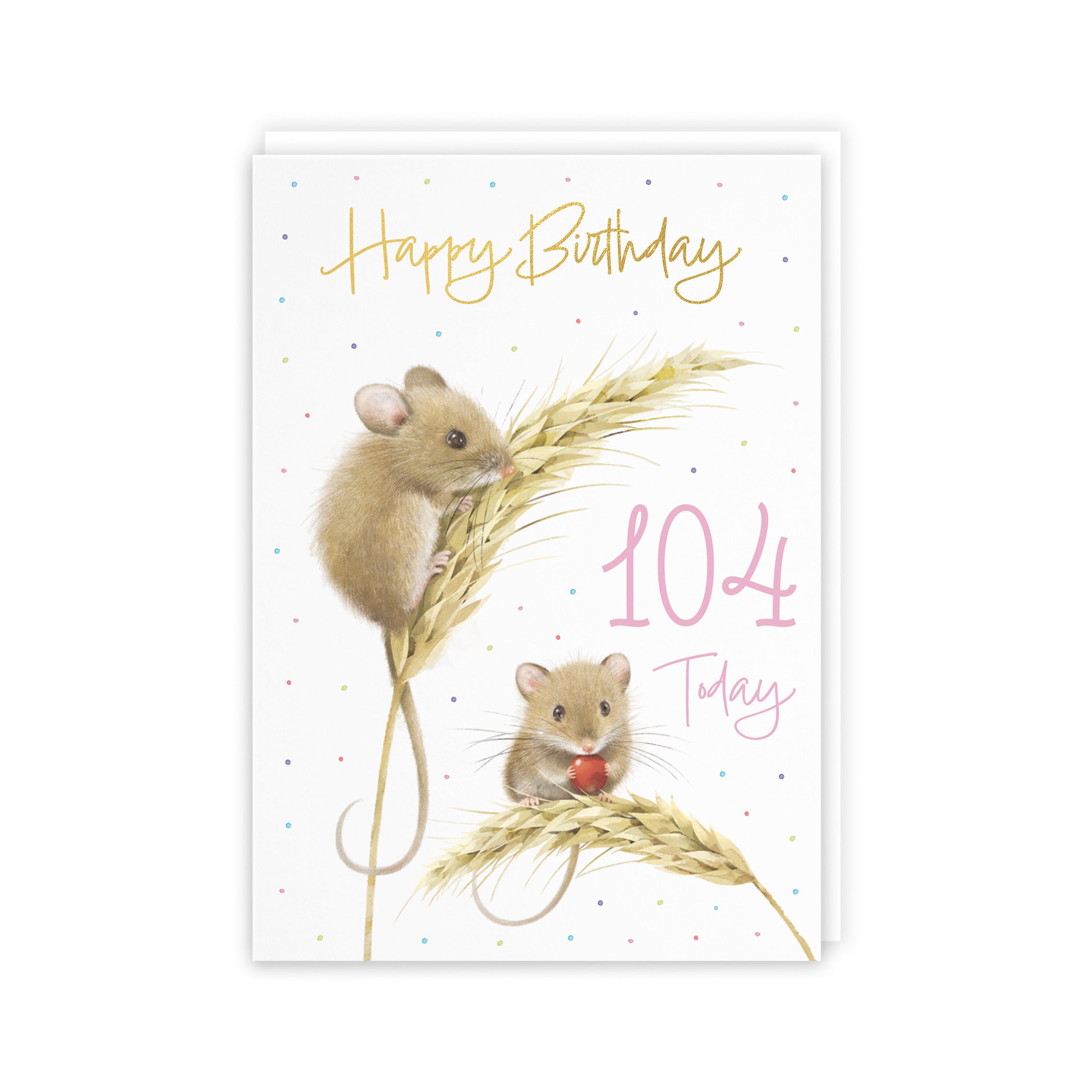 104th Female Gold Foil Birthday Card Harvest Mice Milo's Gallery - Default Title (5063396118501)