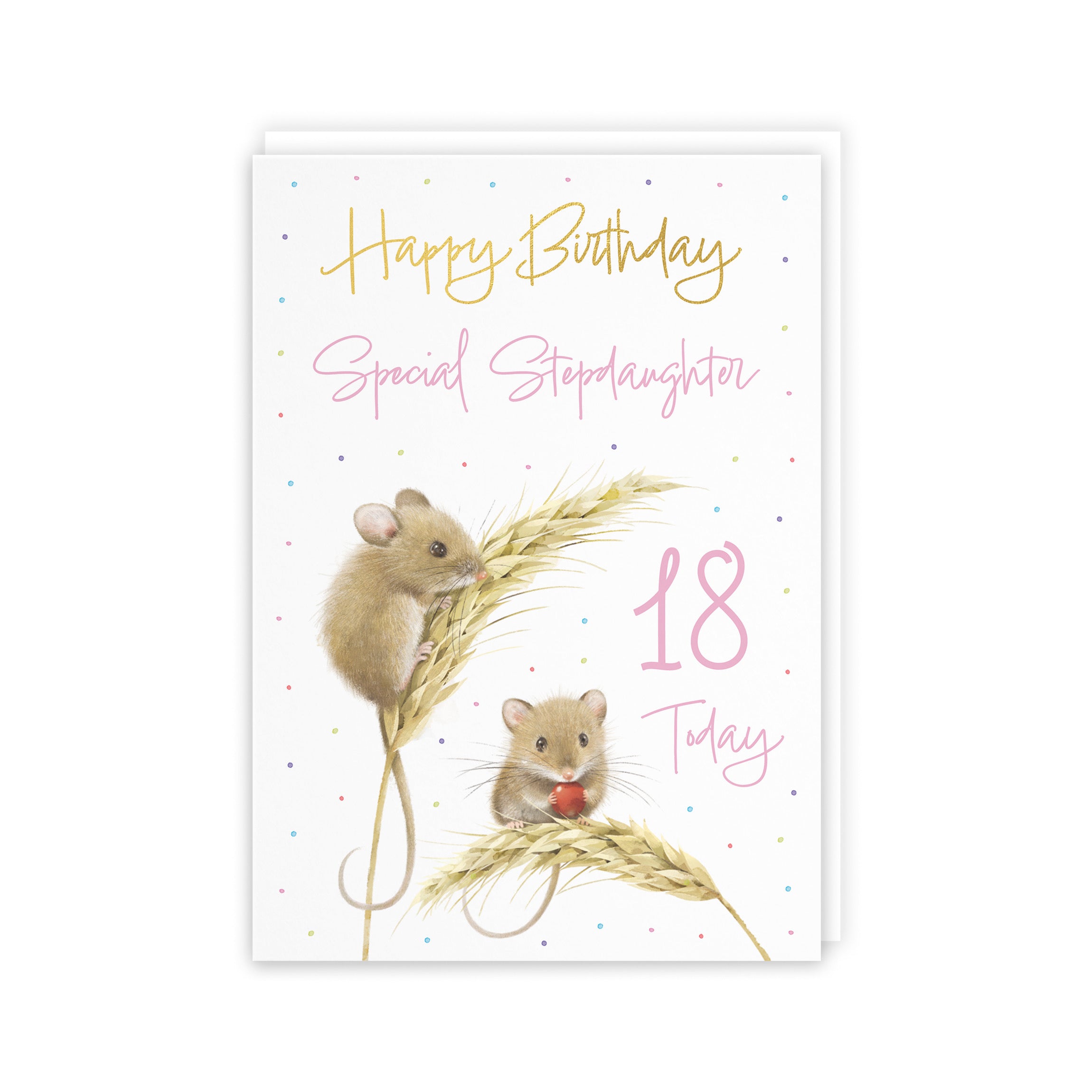 18th Stepdaughter Gold Foil Birthday Card Harvest Mice Milo's Gallery - Default Title (5063396119201)