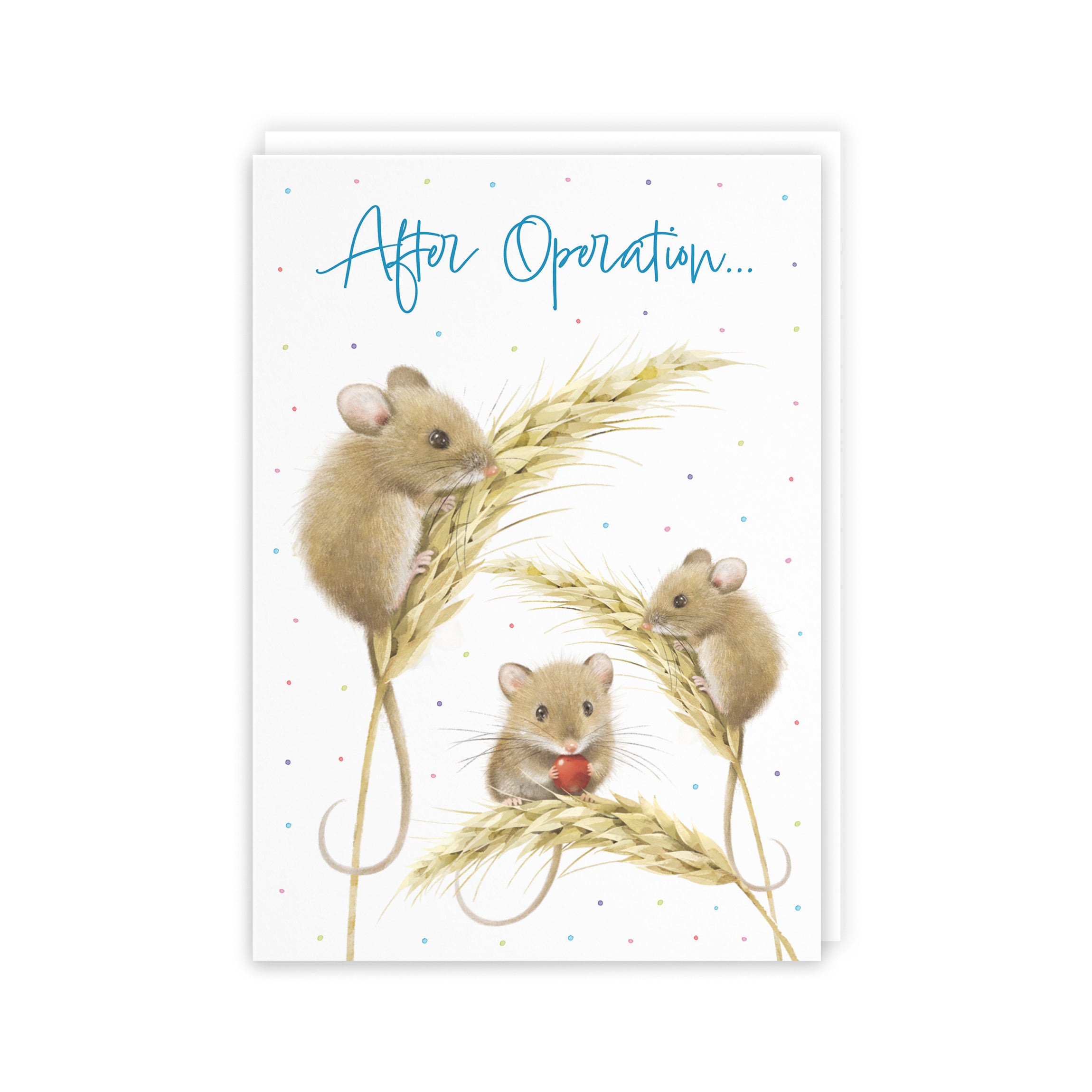 After Operation Card Male Harvest Mice Milo's Gallery - Default Title (5063396120740)