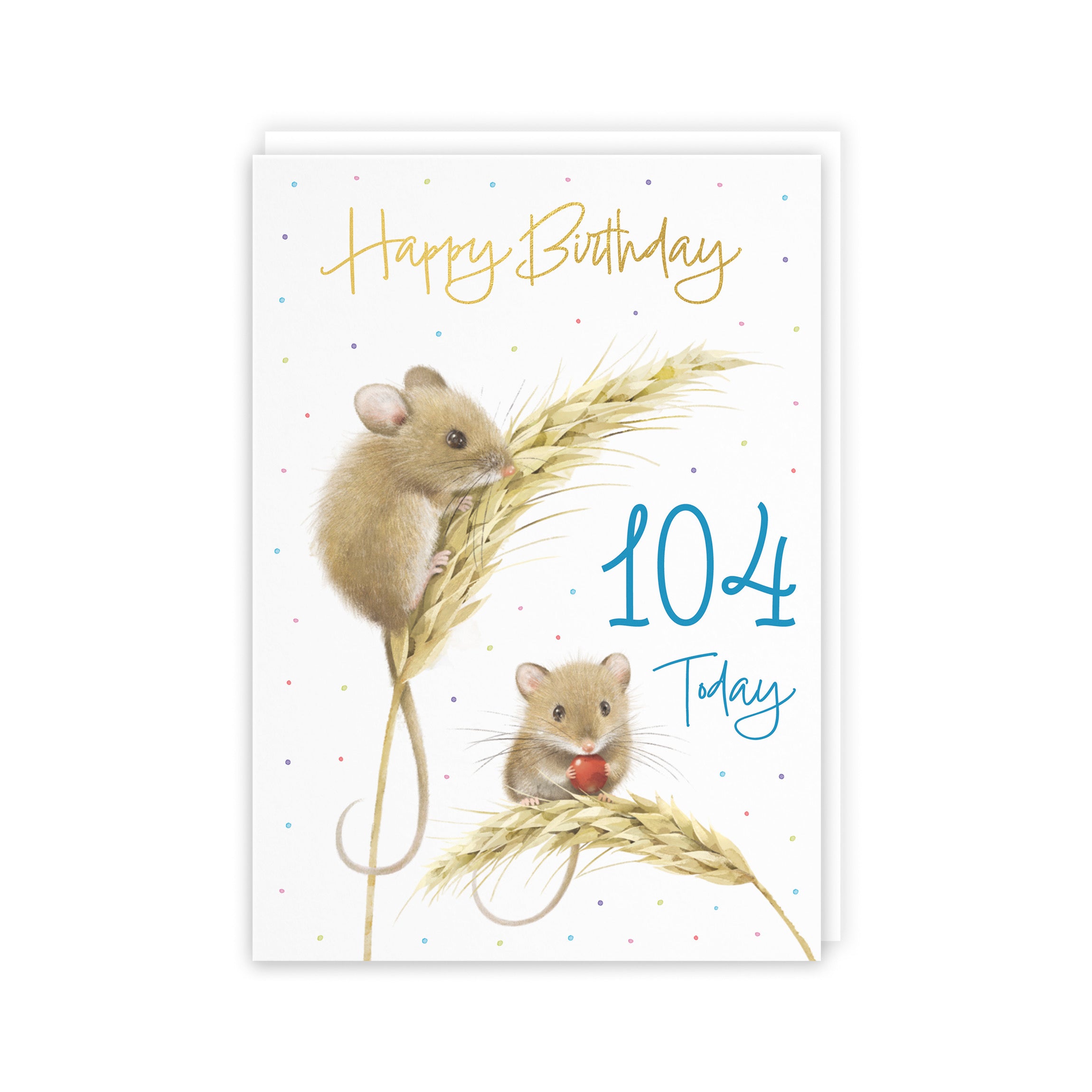 104th Male Gold Foil Birthday Card Harvest Mice Milo's Gallery - Default Title (5063396120771)