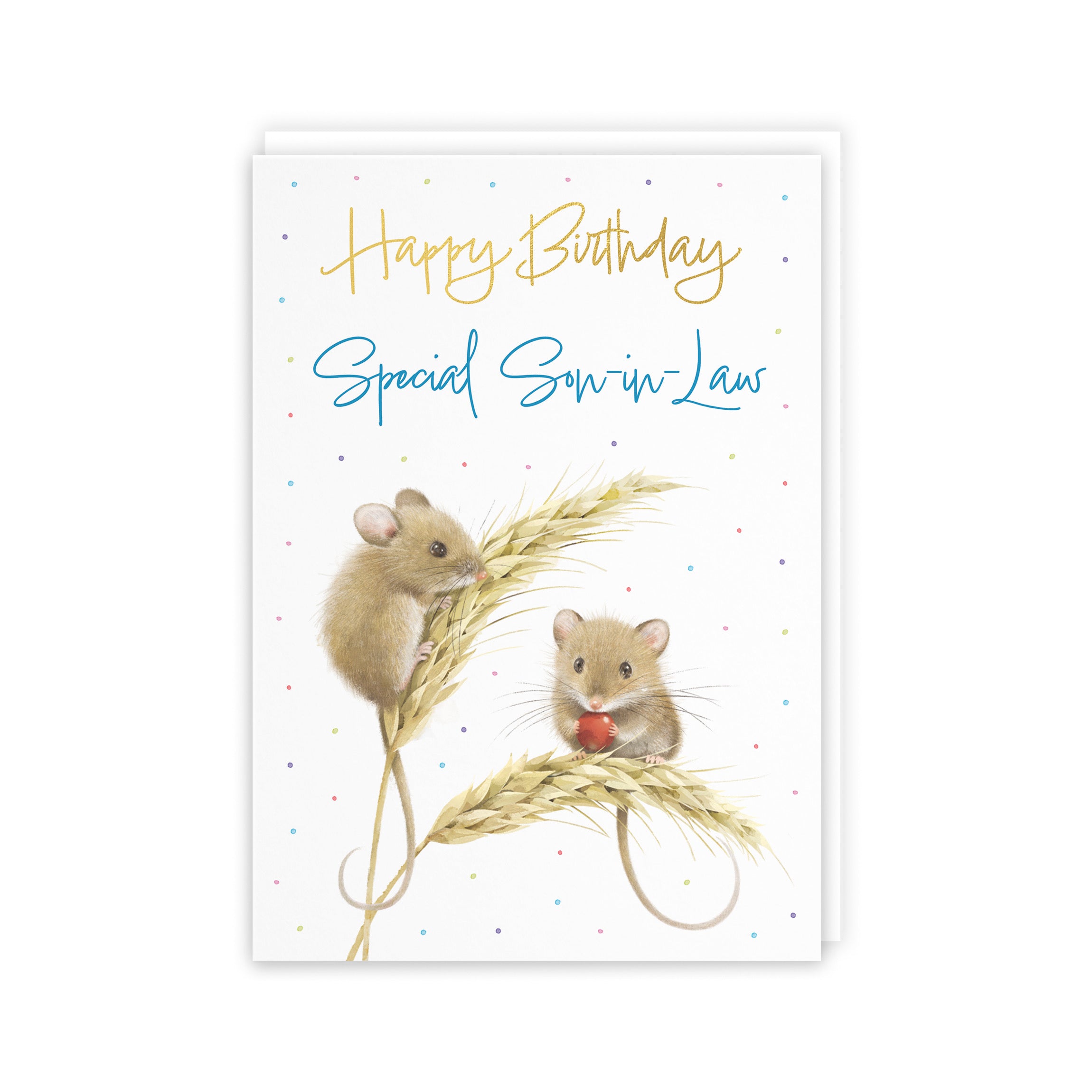 Son In Law Gold Foil Birthday Card Harvest Mice Milo's Gallery - Default Title (5063396121105)