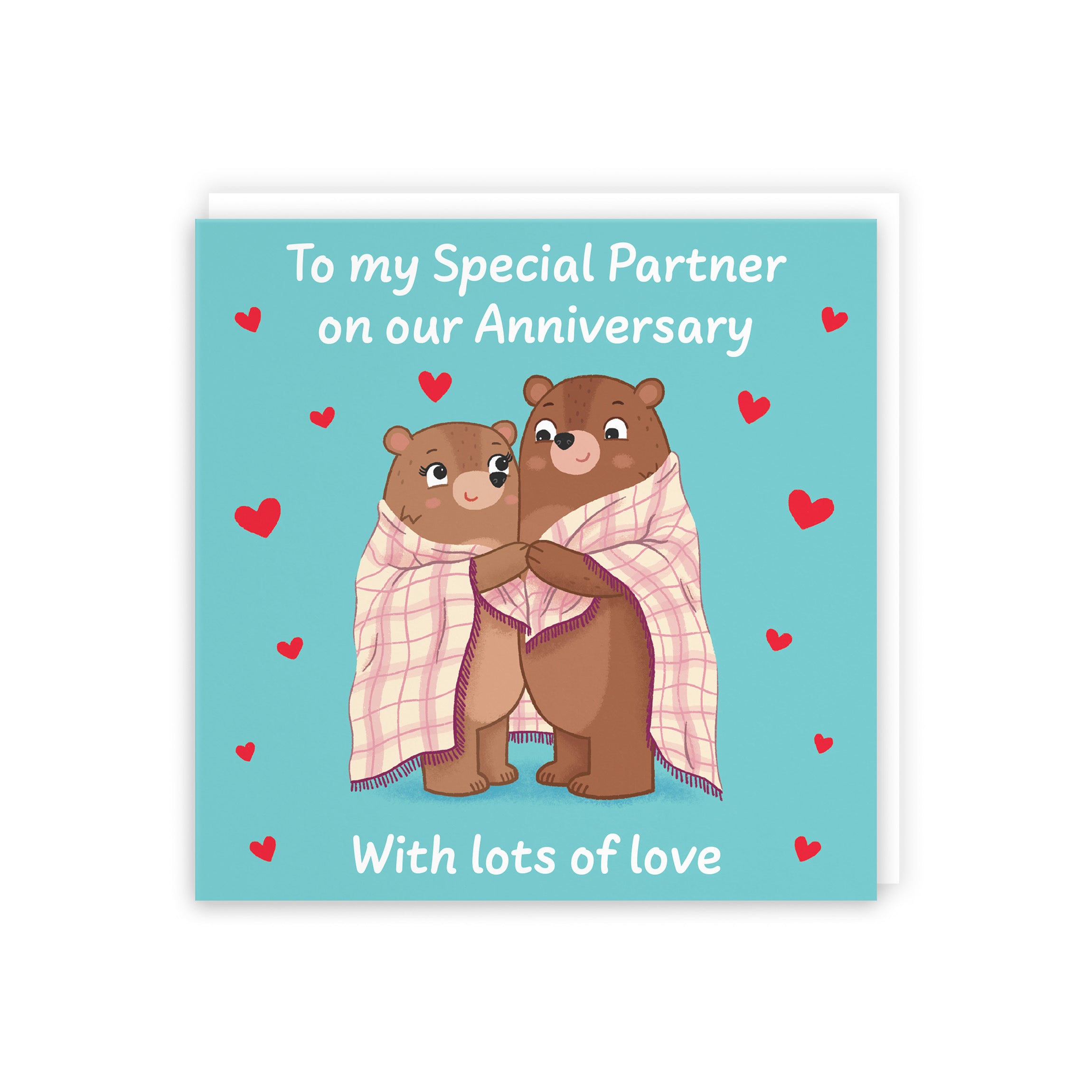 Partner Anniversary Card Snuggly Bears Love Story - Default Title (5063396129224)