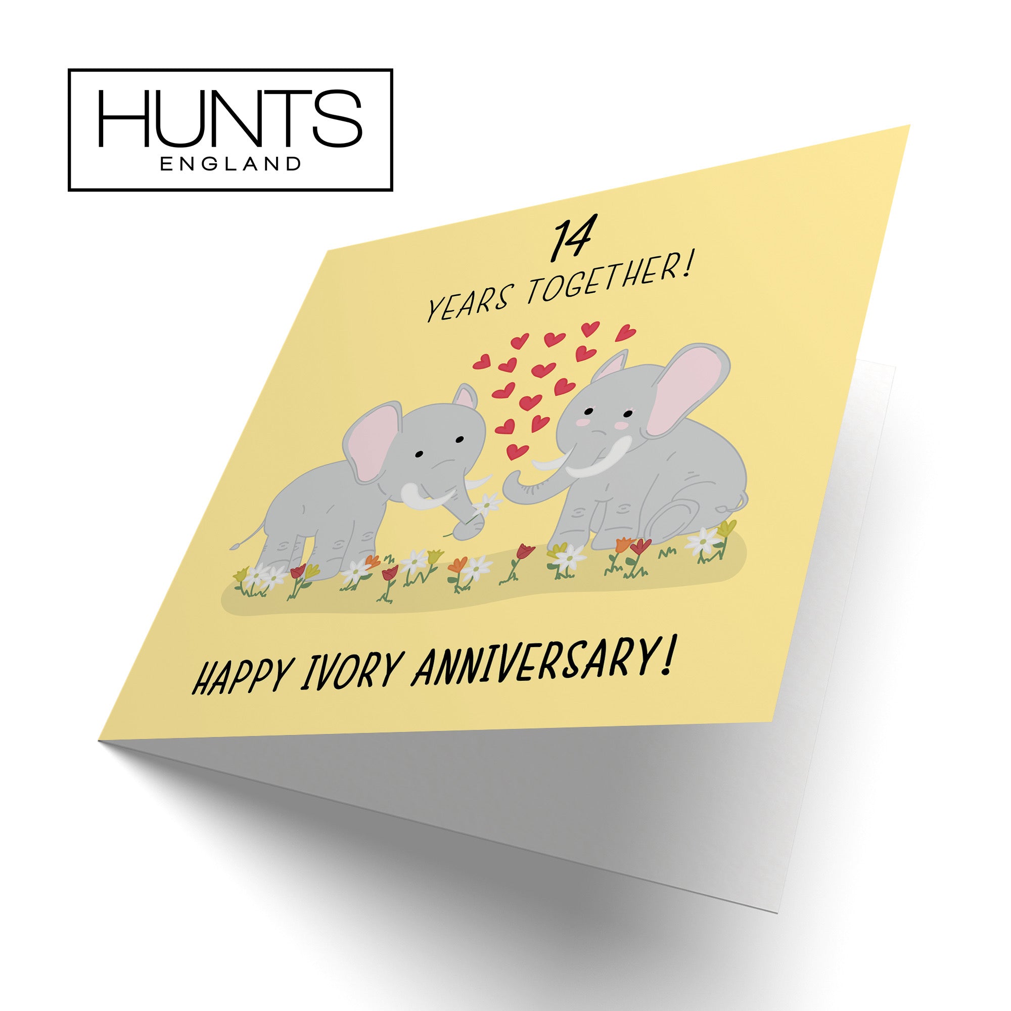 14th Ivory Anniversary Card Iconic - Default Title (B077HXQM3S)