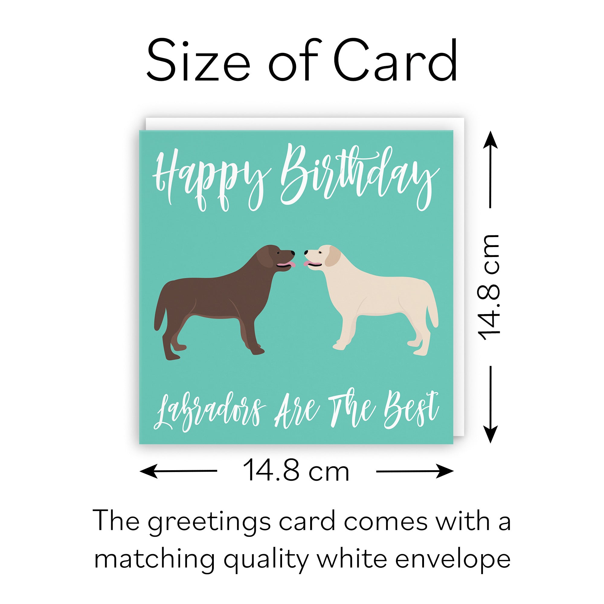 Labradors Dog Birthday Card Iconic - Default Title (B084NWHTXB)