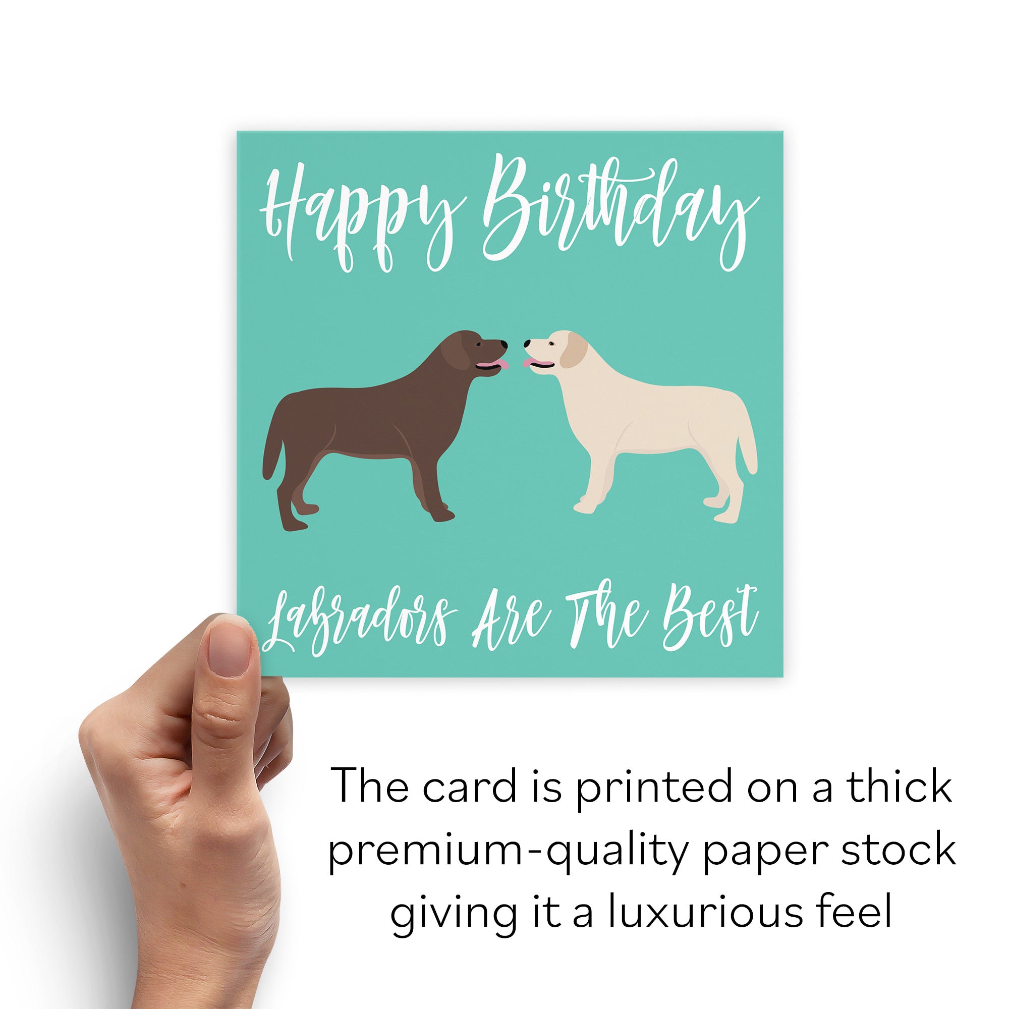 Labradors Dog Birthday Card Iconic - Default Title (B084NWHTXB)