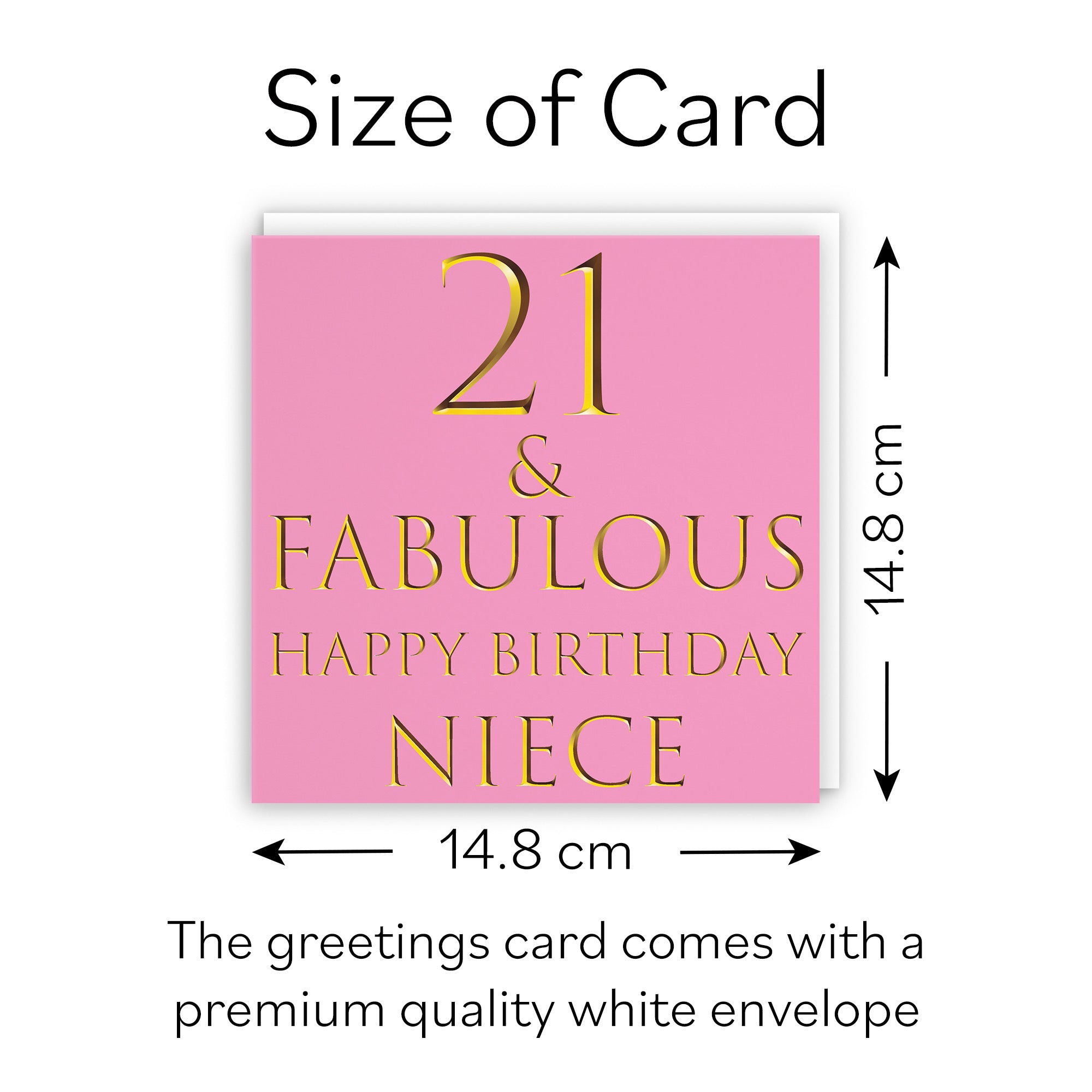 21st Niece Birthday Card Still Totally Fabulous - Default Title (B088DLCKJT)