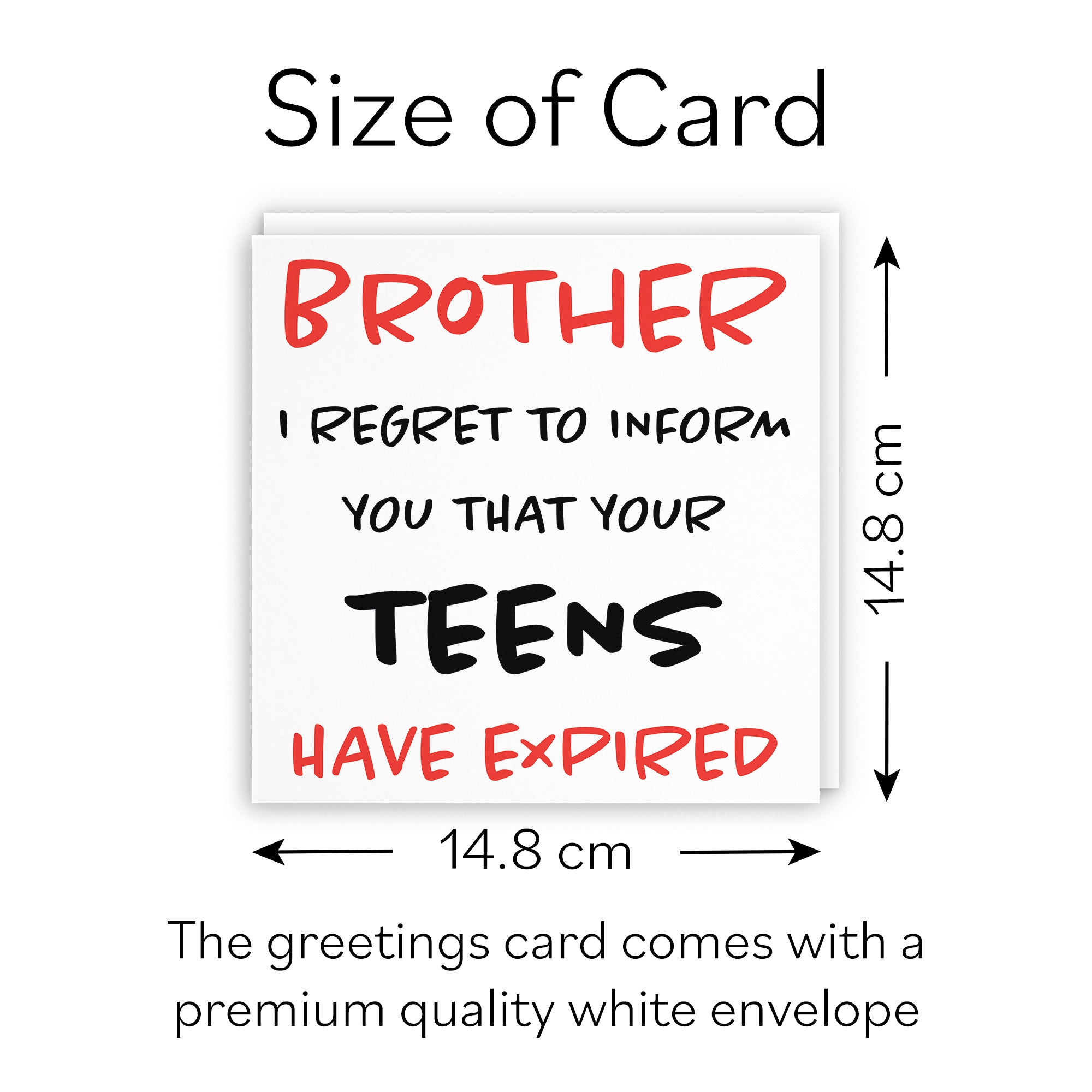 20th Brother Humorous Birthday Card Retro - Default Title (B08H198M4W)