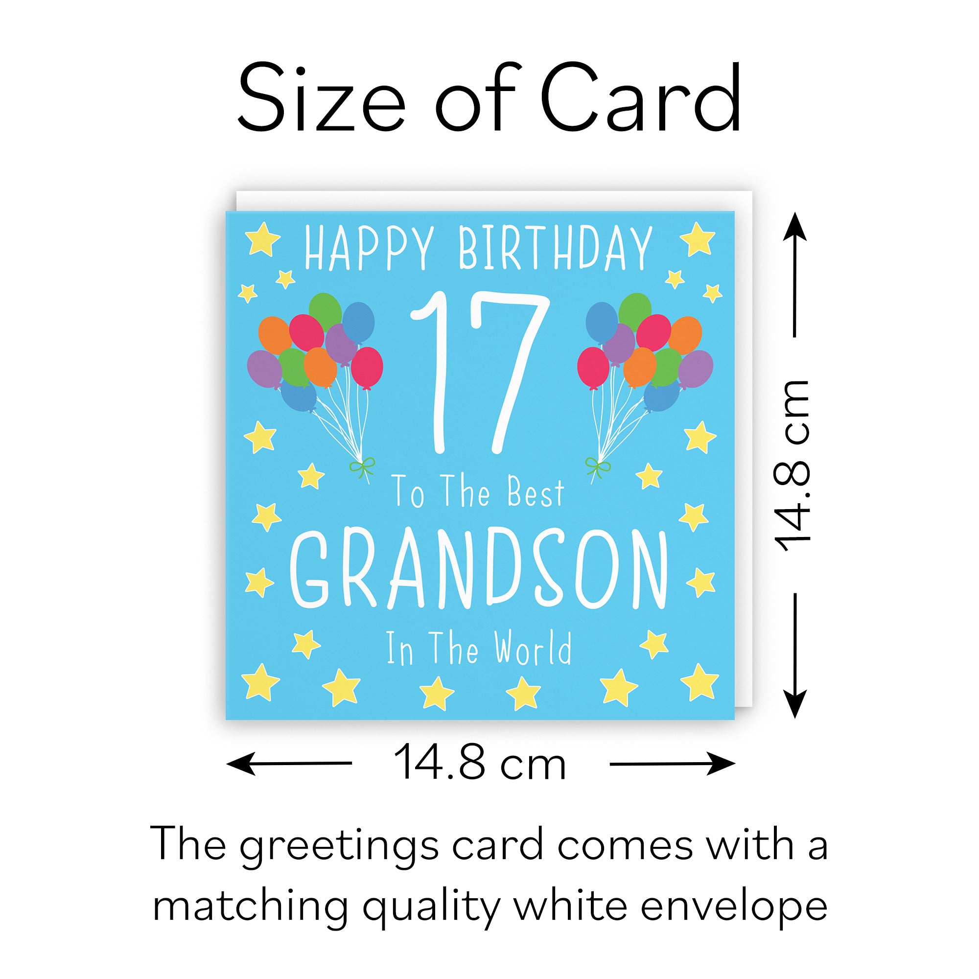 17th Grandson Birthday Card Iconic - Default Title (B08K1FCJKN)