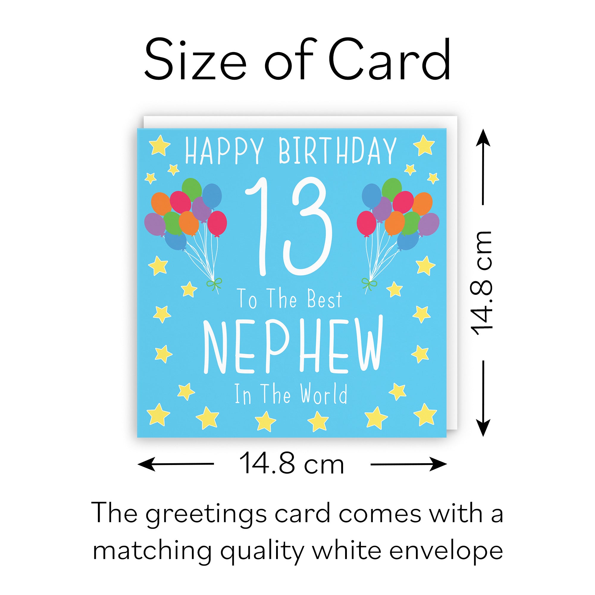 13th Nephew Birthday Card Iconic - Default Title (B08K26VG3D)