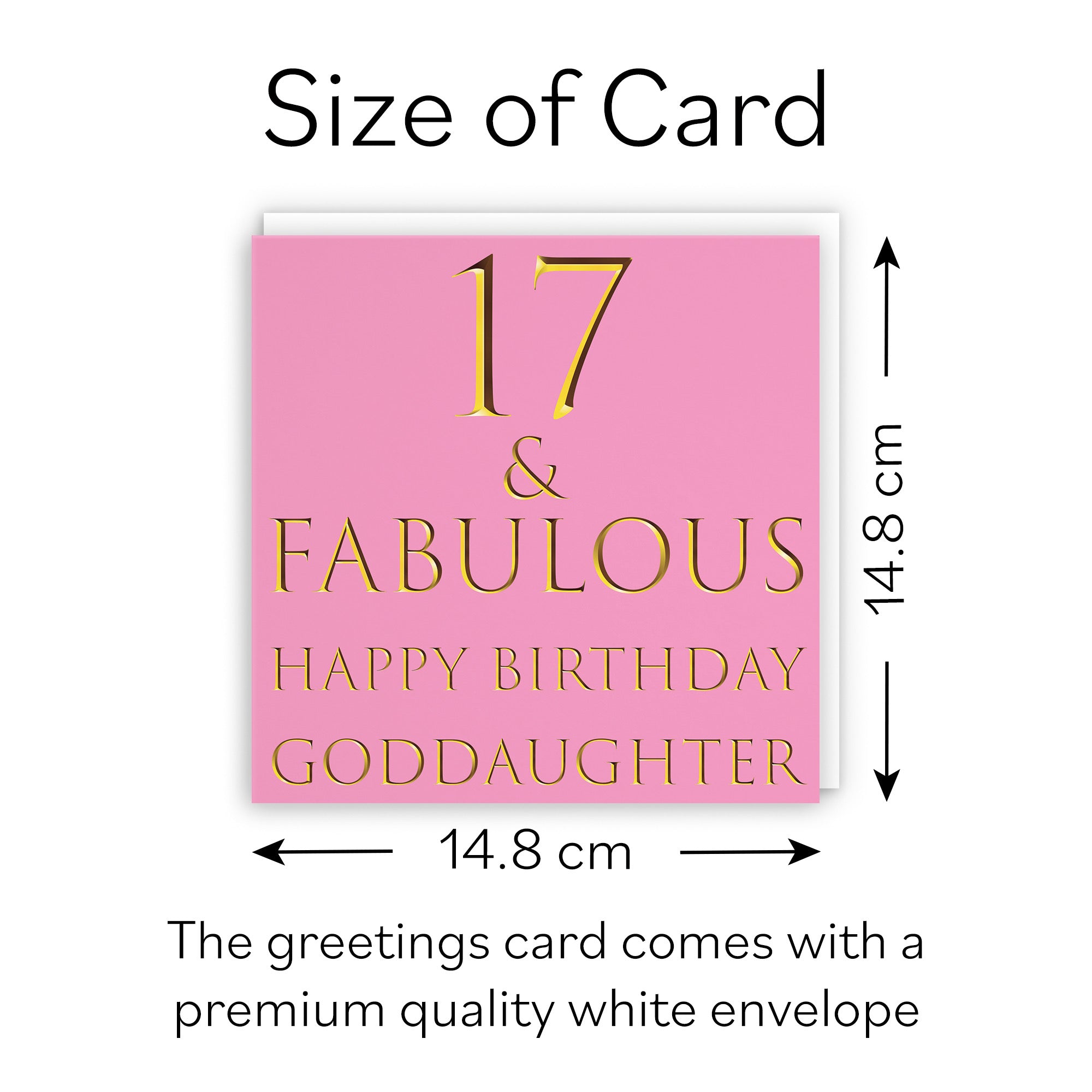 17th Goddaughter Birthday Card Still Totally Fabulous - Default Title (B08L23949L)