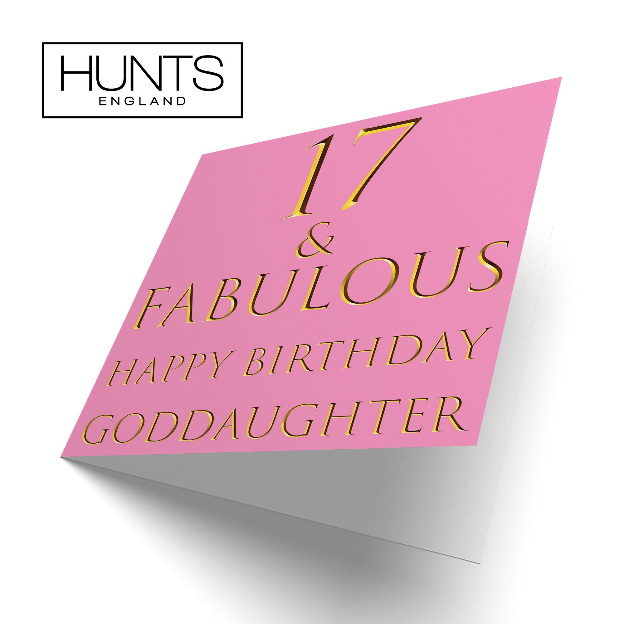 17th Goddaughter Birthday Card Still Totally Fabulous - Default Title (B08L23949L)