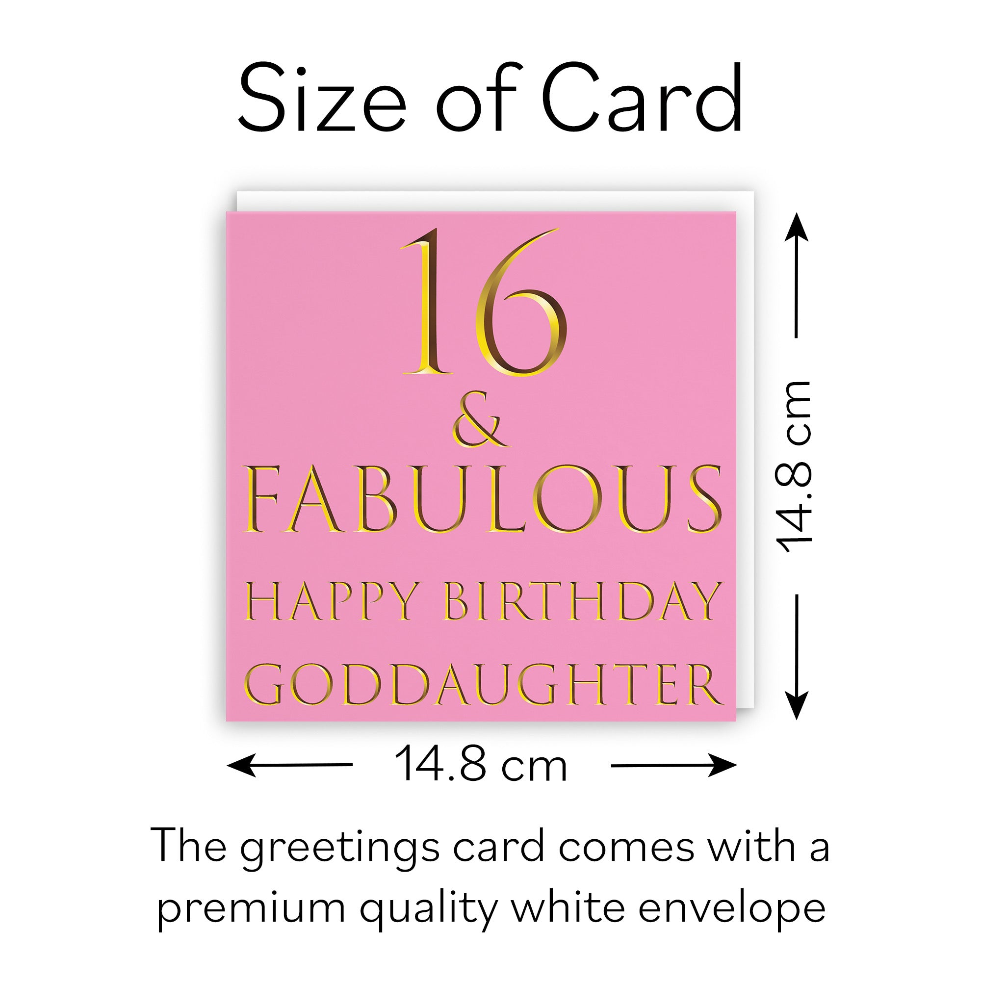 16th Goddaughter Birthday Card Still Totally Fabulous - Default Title (B08L23M6TS)