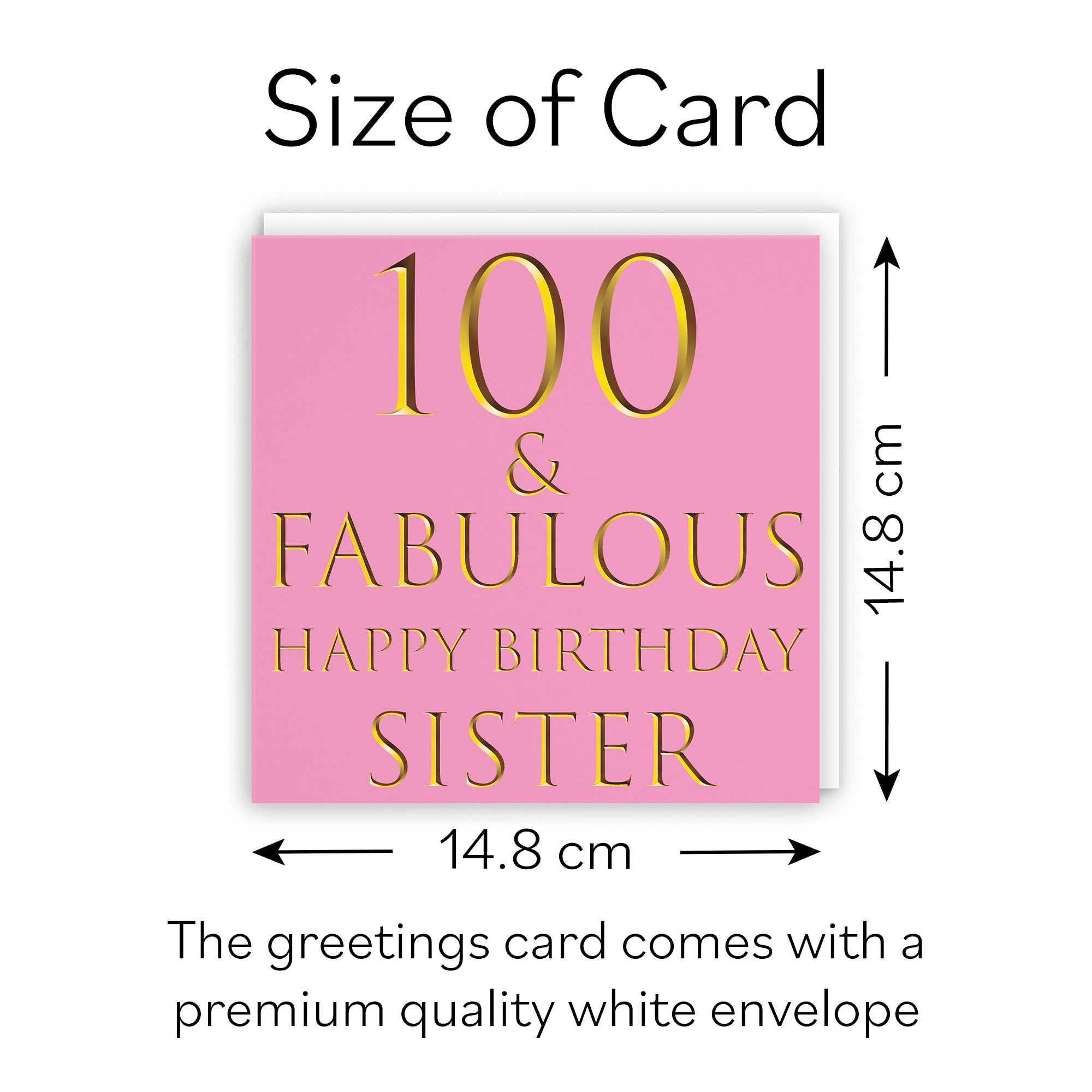 100th Sister Birthday Card Still Totally Fabulous - Default Title (B08L27CBSM)