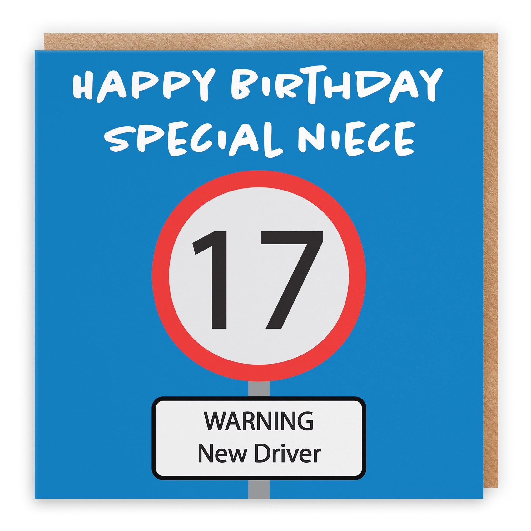 17th Niece Birthday Card Road Sign - Default Title (B09GJ4H2ZP)