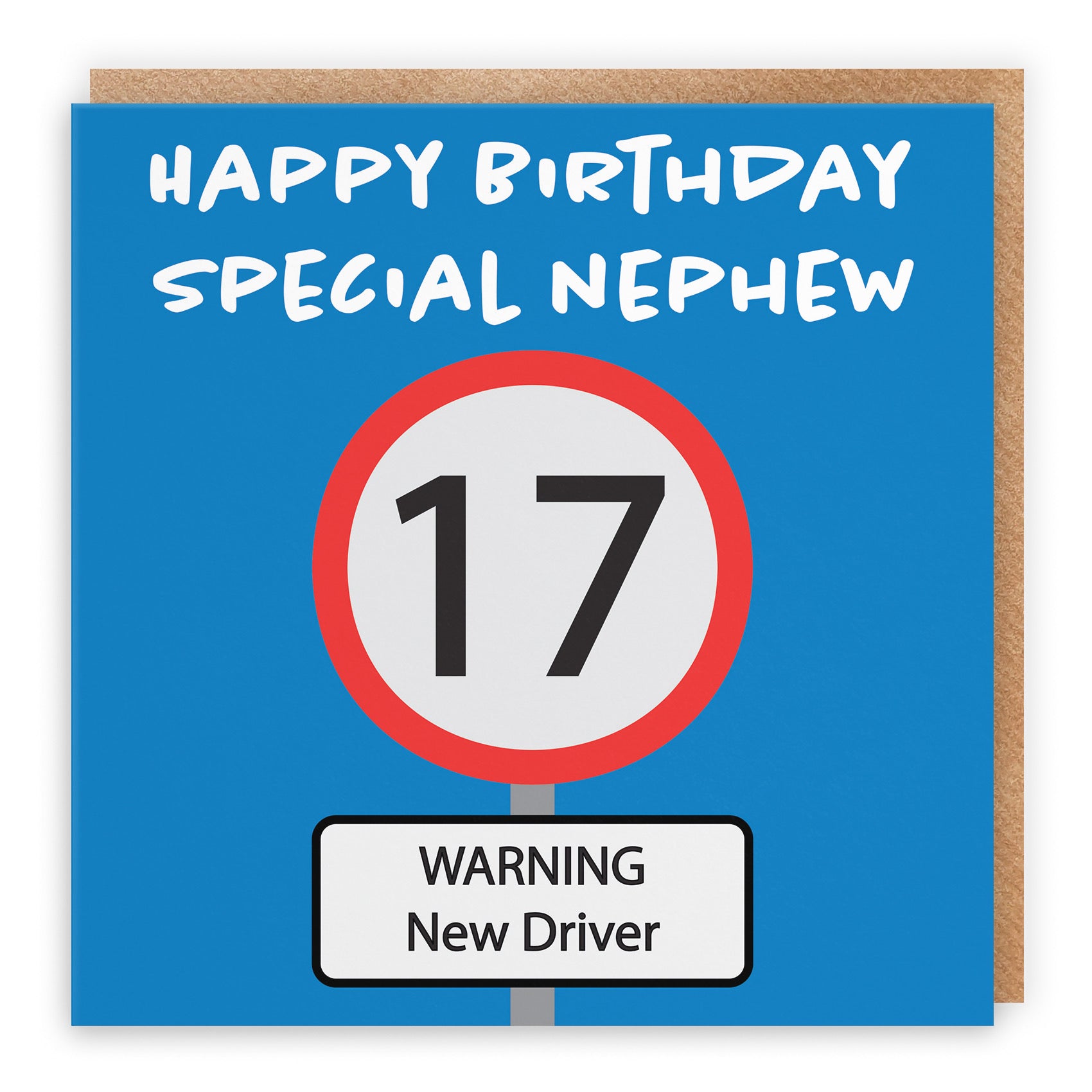 17th Nephew Birthday Card Road Sign - Default Title (B09GJMH9PN)