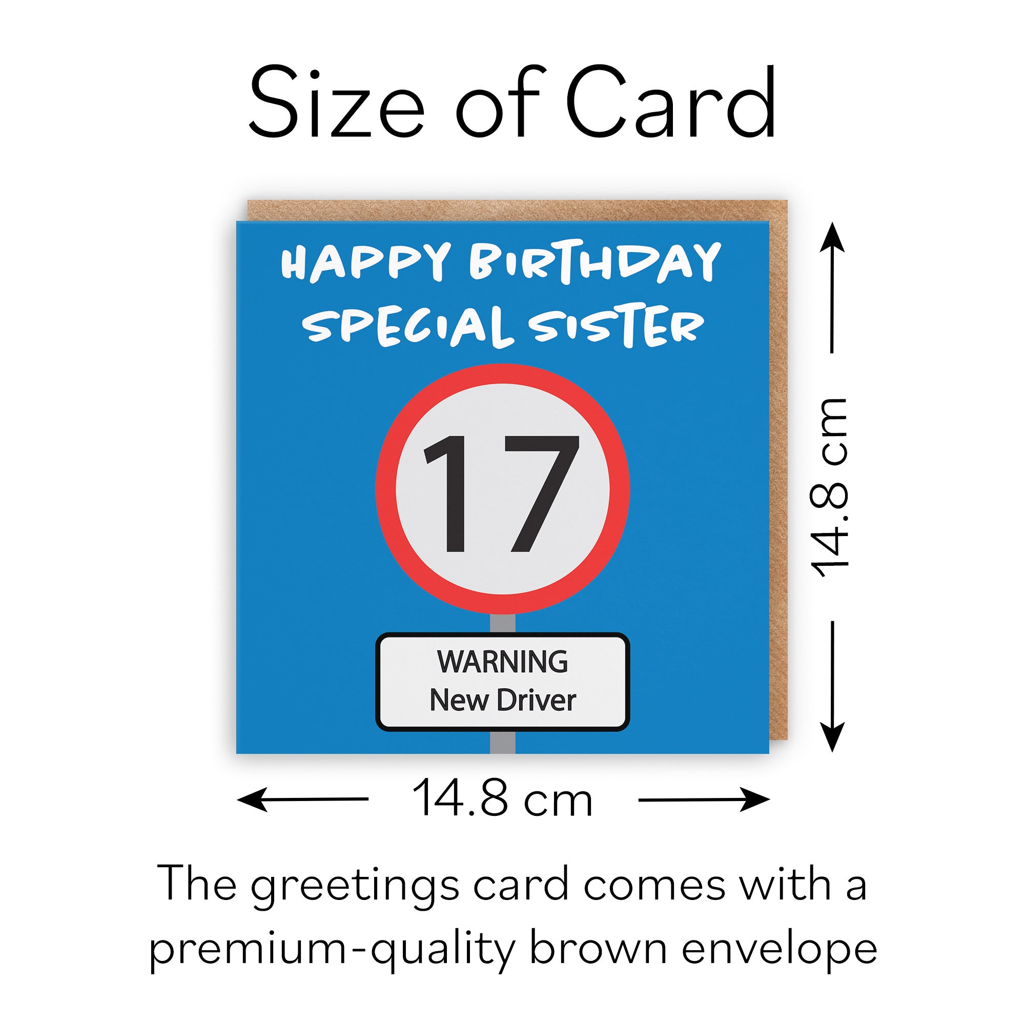 17th Sister Birthday Card Road Sign - Default Title (B09GJSVRZ3)