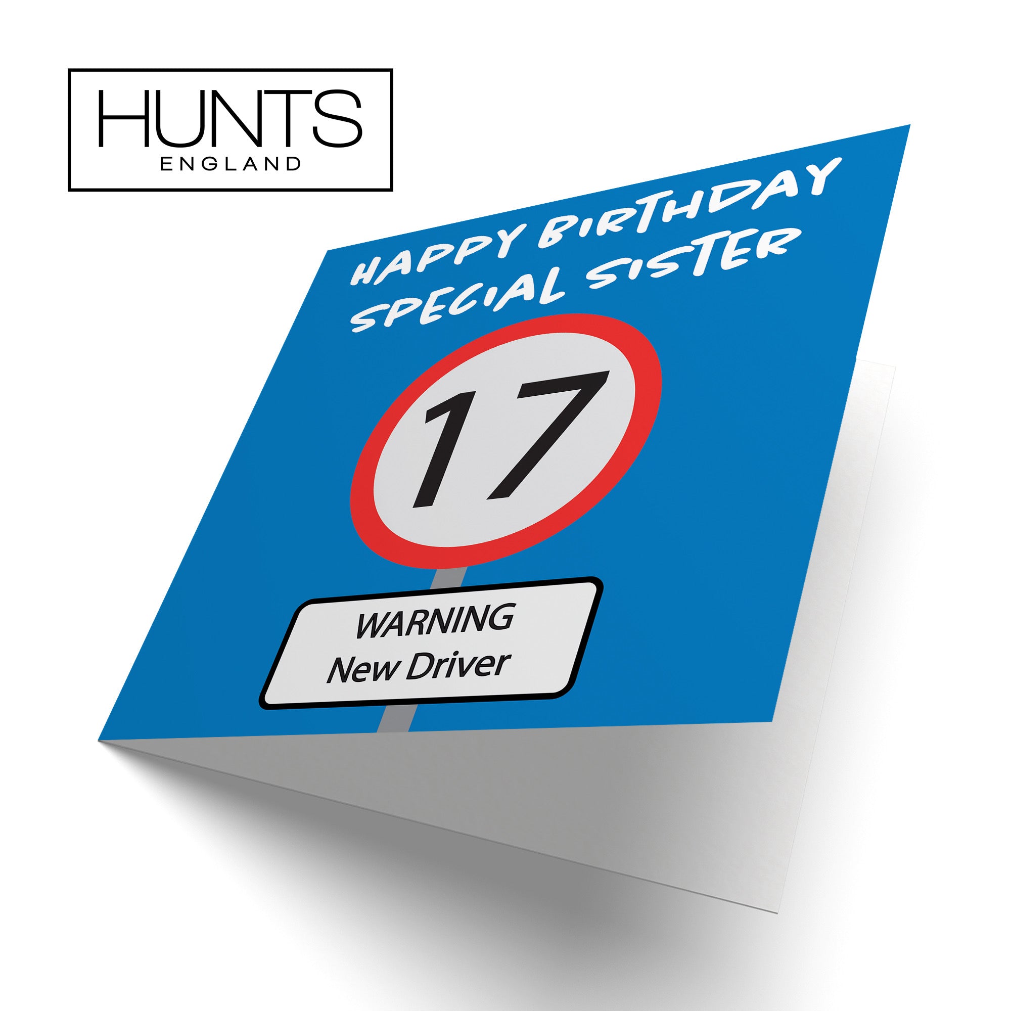 17th Sister Birthday Card Road Sign - Default Title (B09GJSVRZ3)