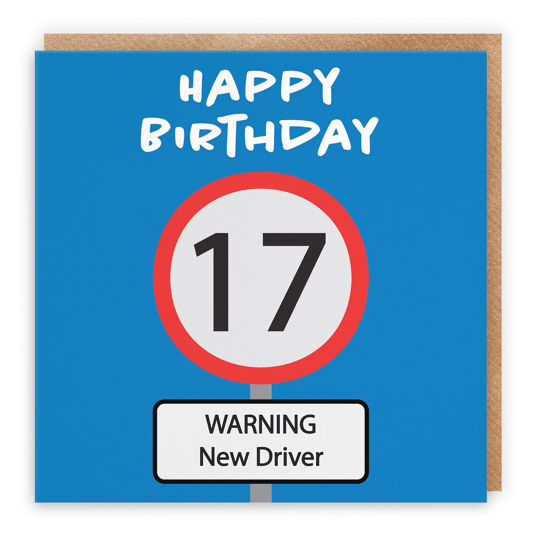 17th Birthday Card Road Sign - Default Title (B09GKZ29KM)