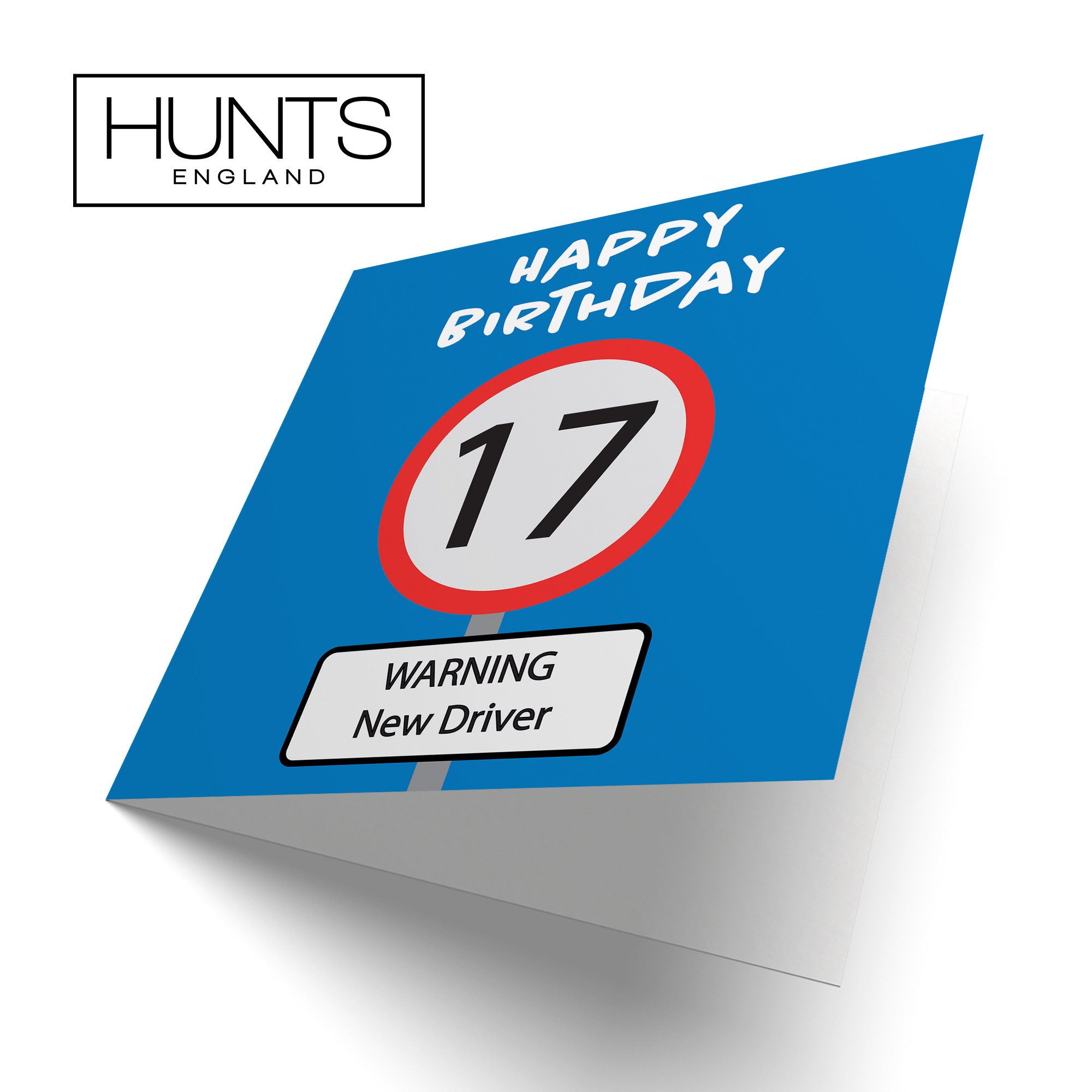 17th Birthday Card Road Sign - Default Title (B09GKZ29KM)