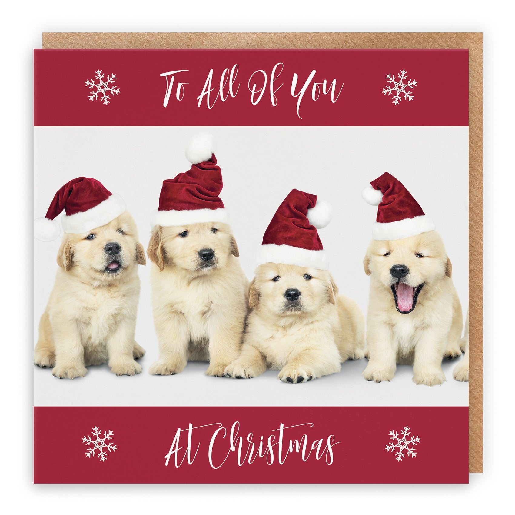 To All Of You Christmas Card Puppy - Default Title (B09JZX15GD)