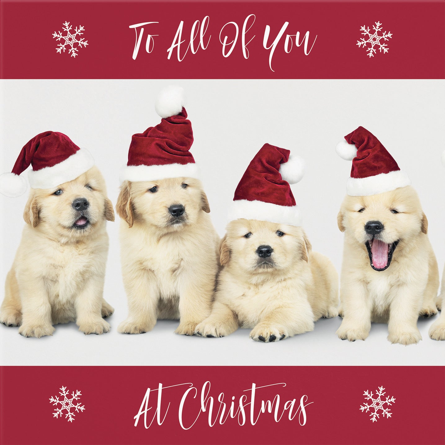 To All Of You Christmas Card Puppy - Default Title (B09JZX15GD)