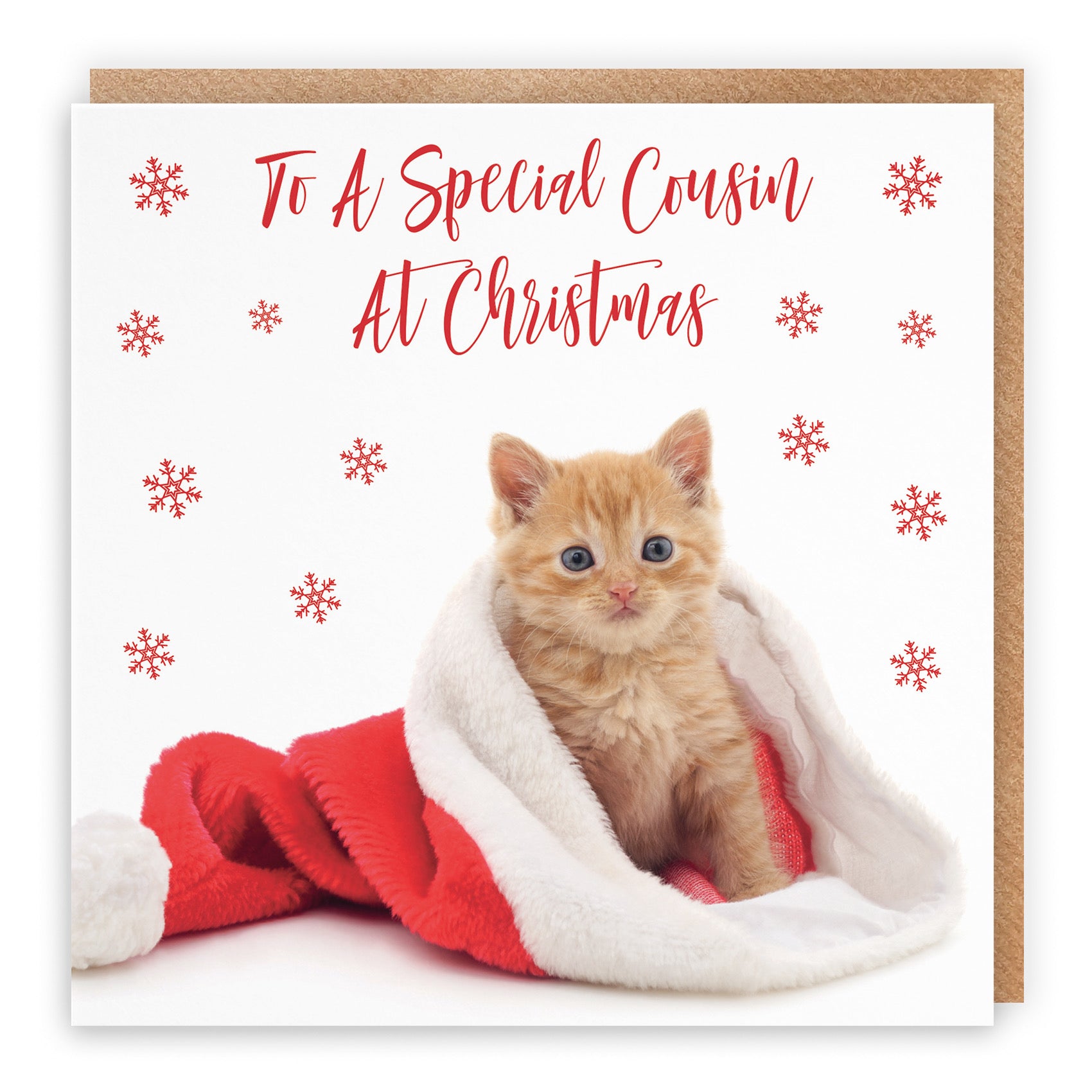 Cousin Kitten Christmas Card - Default Title (B09JZXTXC4)