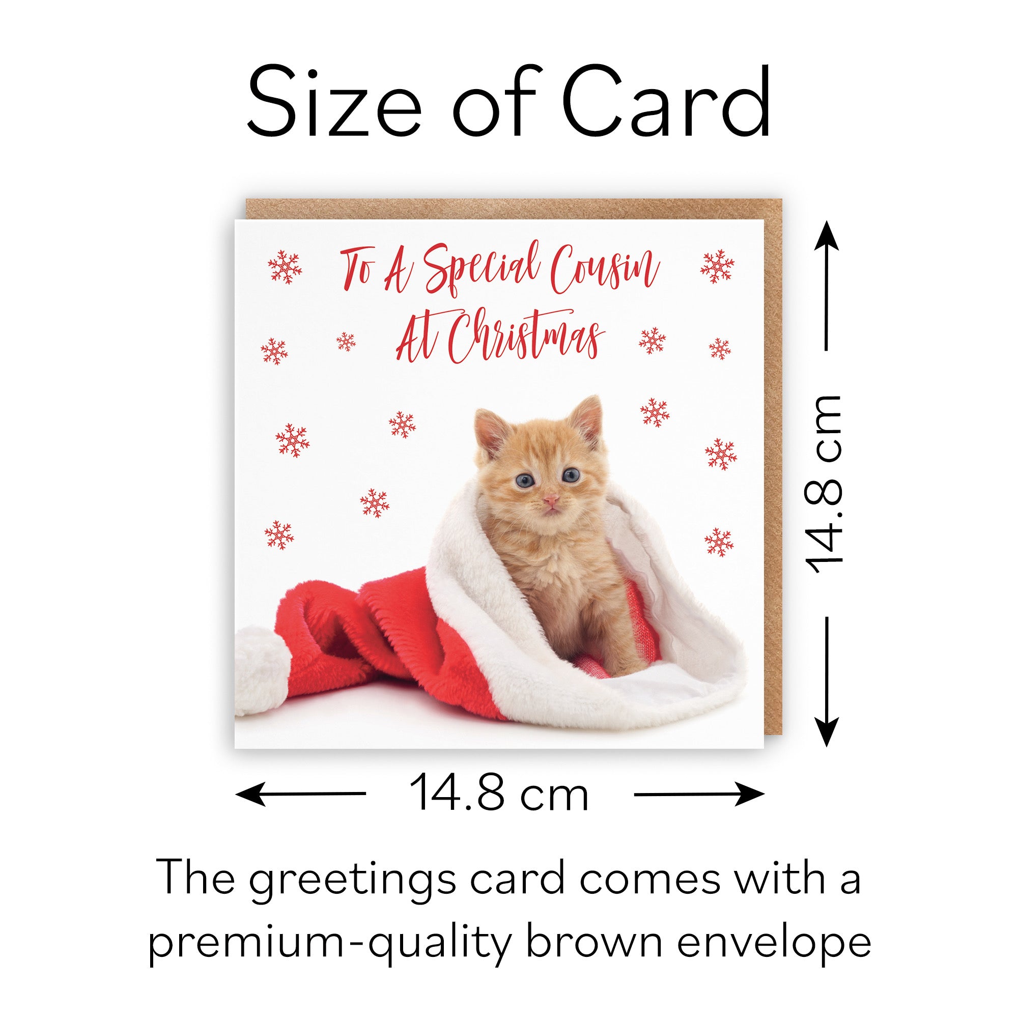 Cousin Kitten Christmas Card - Default Title (B09JZXTXC4)