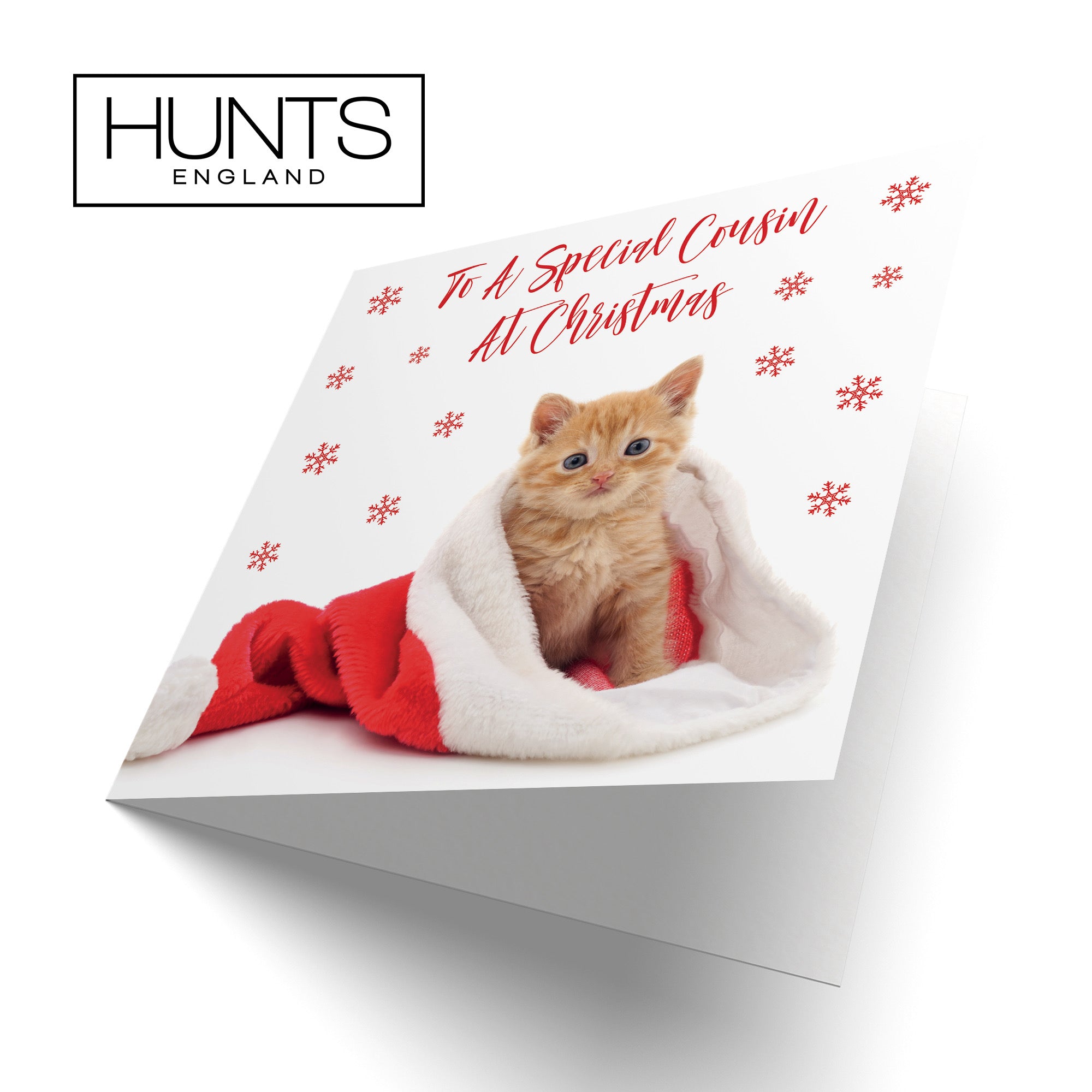 Cousin Kitten Christmas Card - Default Title (B09JZXTXC4)