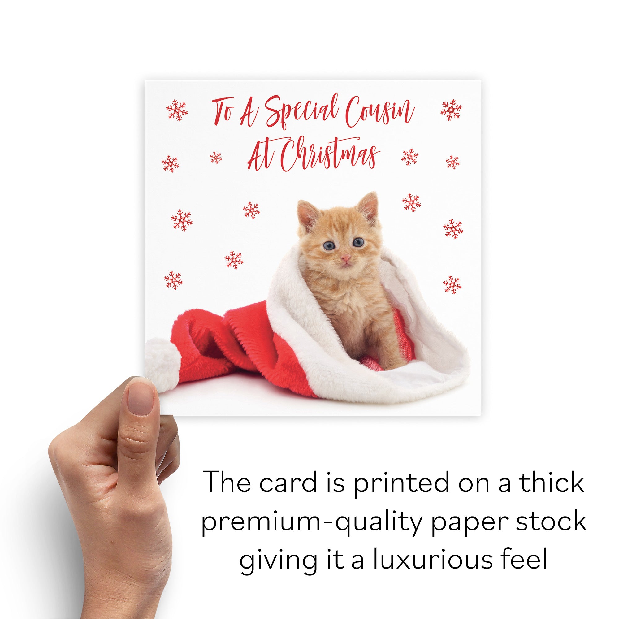 Cousin Kitten Christmas Card - Default Title (B09JZXTXC4)