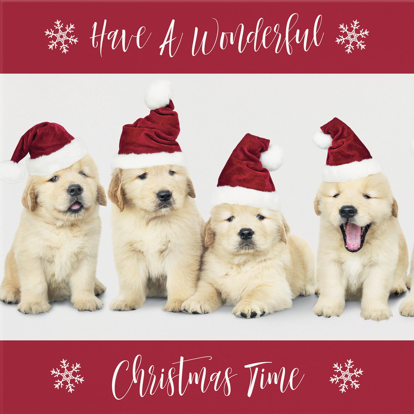 Open Single Puppy Christmas Card - Default Title (B09K1LQSX8)