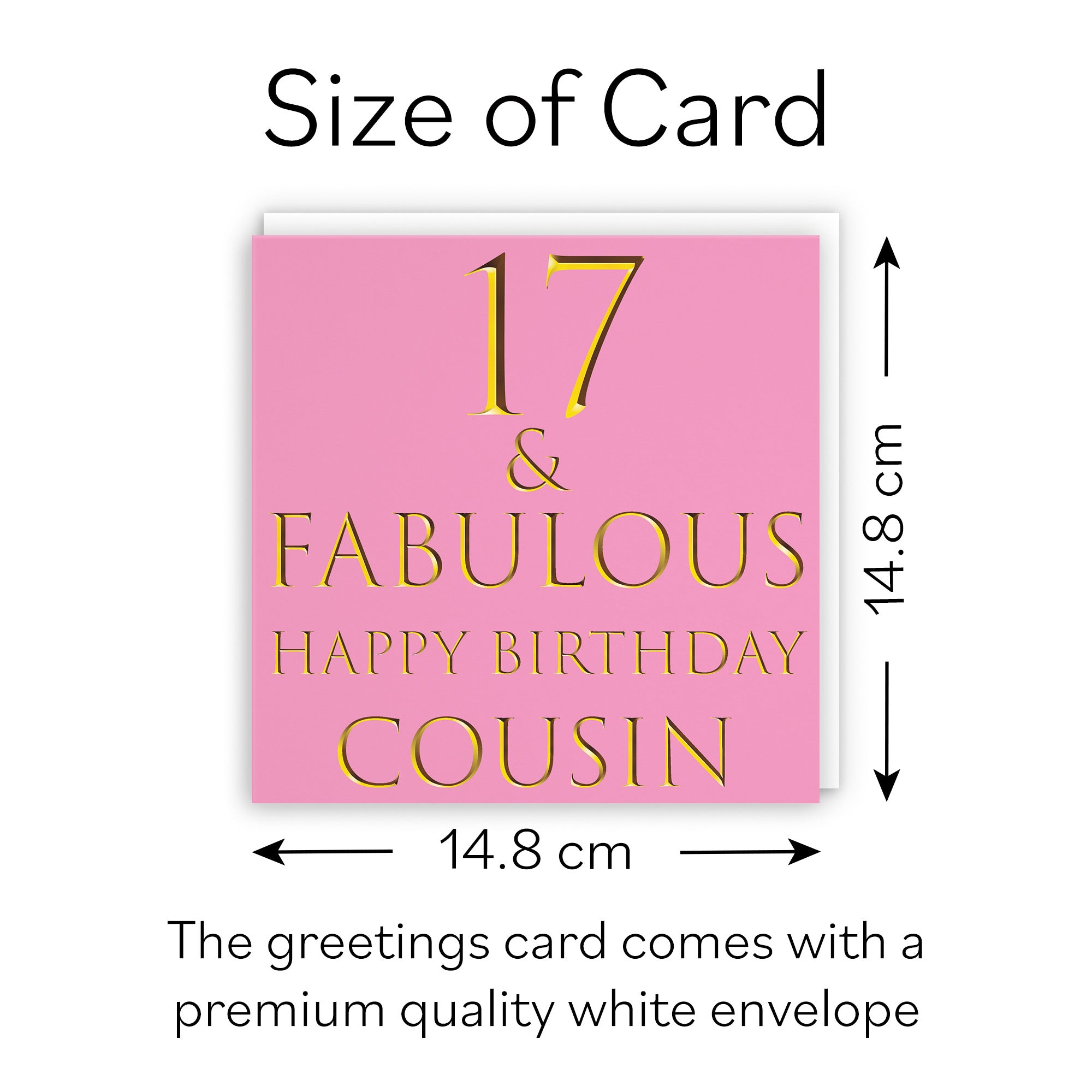 17th Cousin Birthday Card Fabulous - Default Title (B09Q7J2R7R)