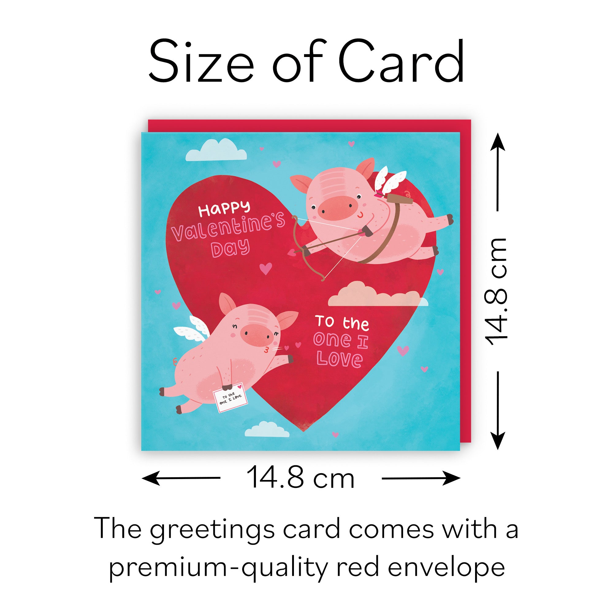 Cute Flying Pigs Valentine's Day Card Iconic - Default Title (B09R6N78FW)