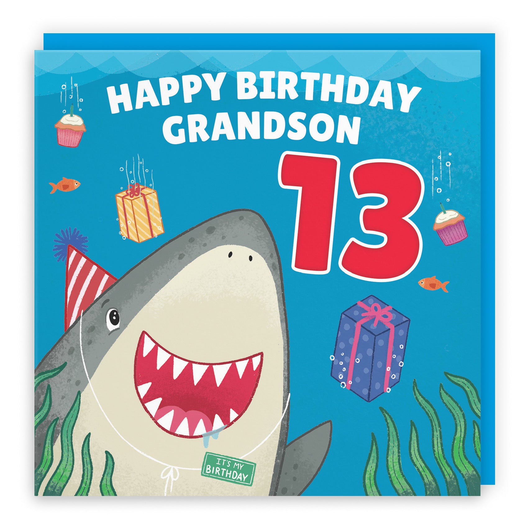 13th Grandson Cute Shark Birthday Card Ocean - Default Title (B09W2X44XK)