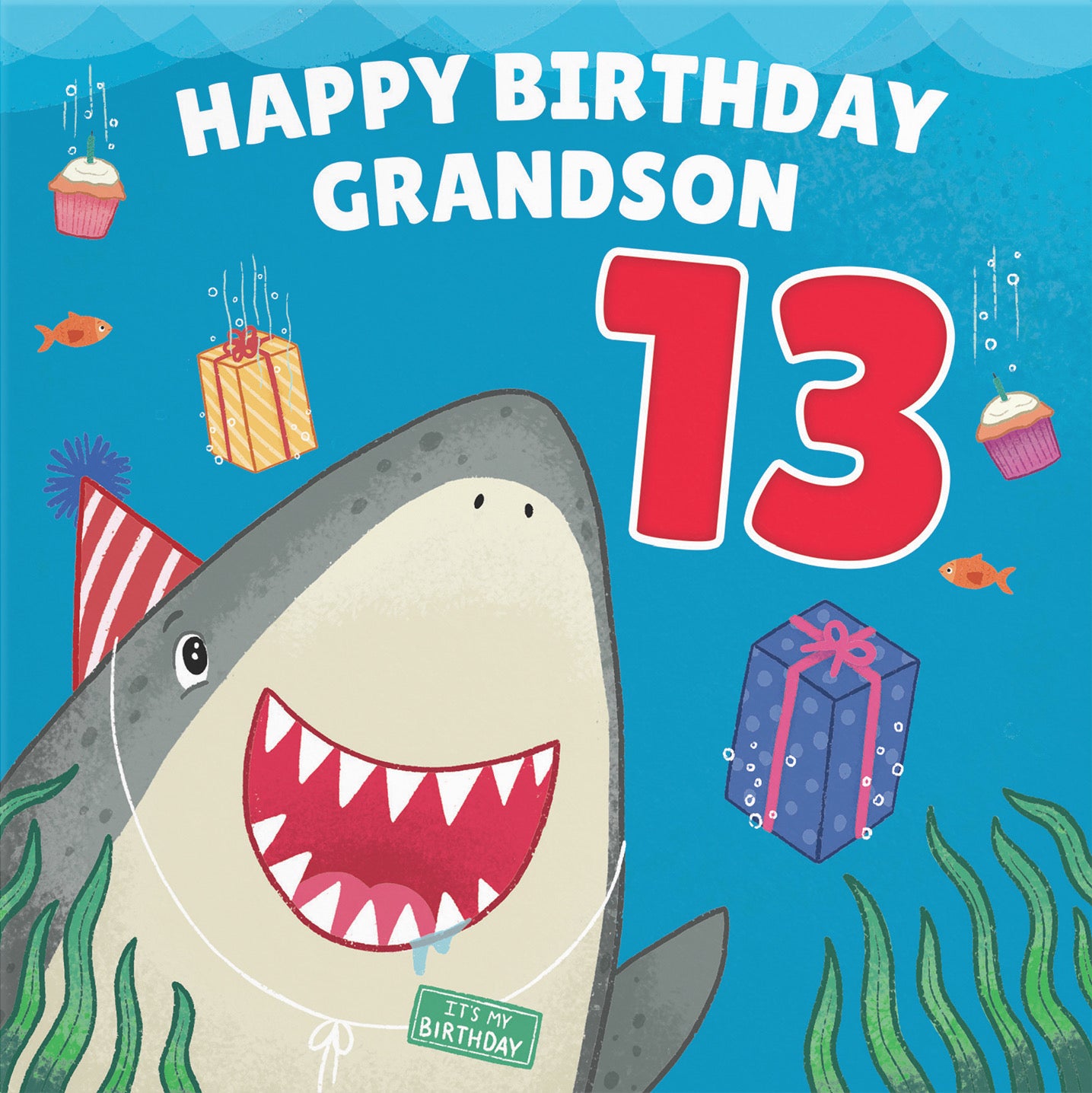 13th Grandson Cute Shark Birthday Card Ocean - Default Title (B09W2X44XK)