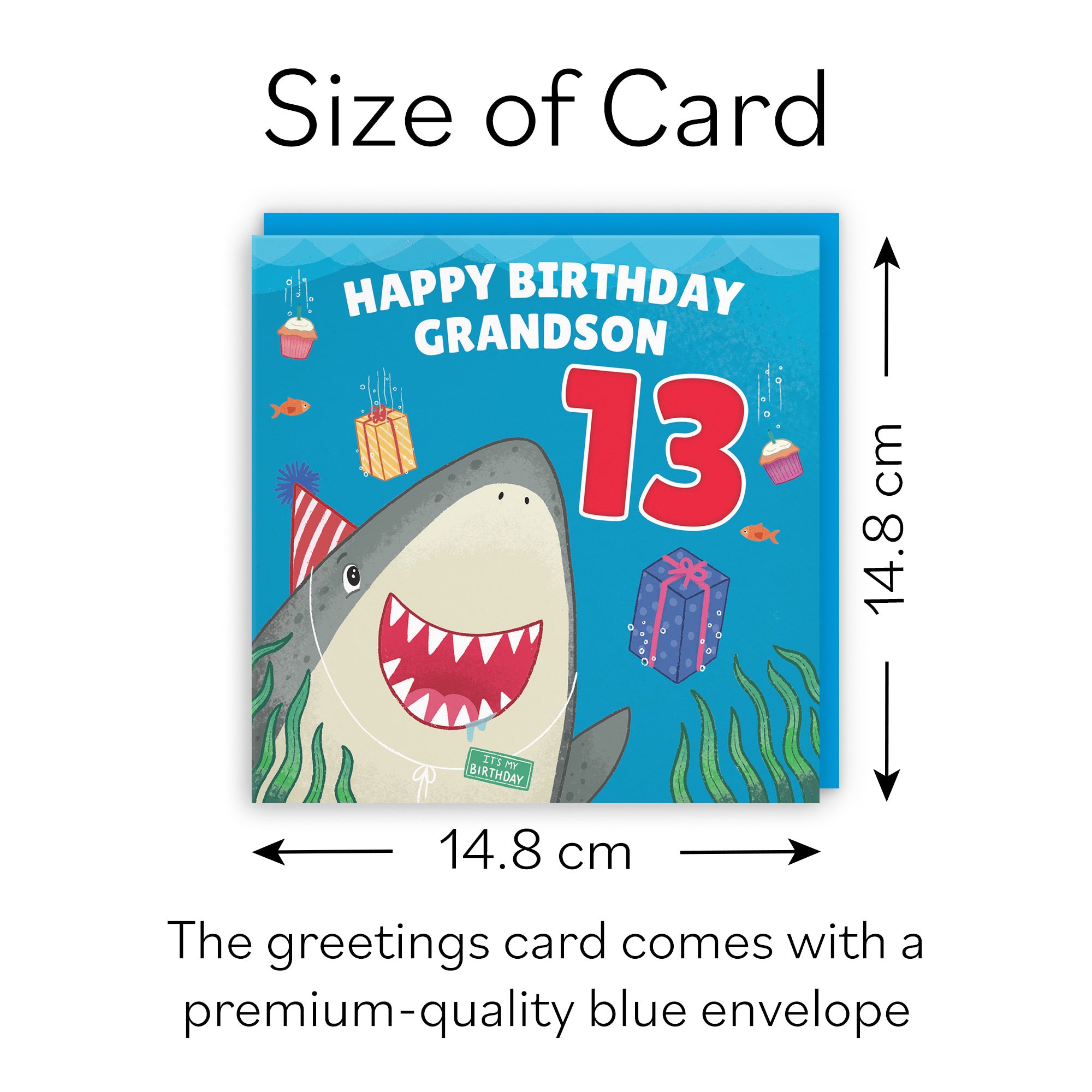 13th Grandson Cute Shark Birthday Card Ocean - Default Title (B09W2X44XK)