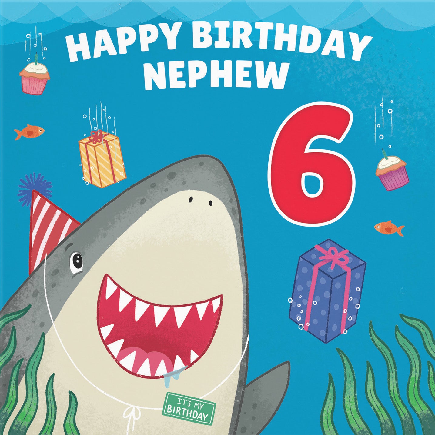 6th Nephew Cute Shark Birthday Card Ocean - Default Title (B09W2XHTTF)